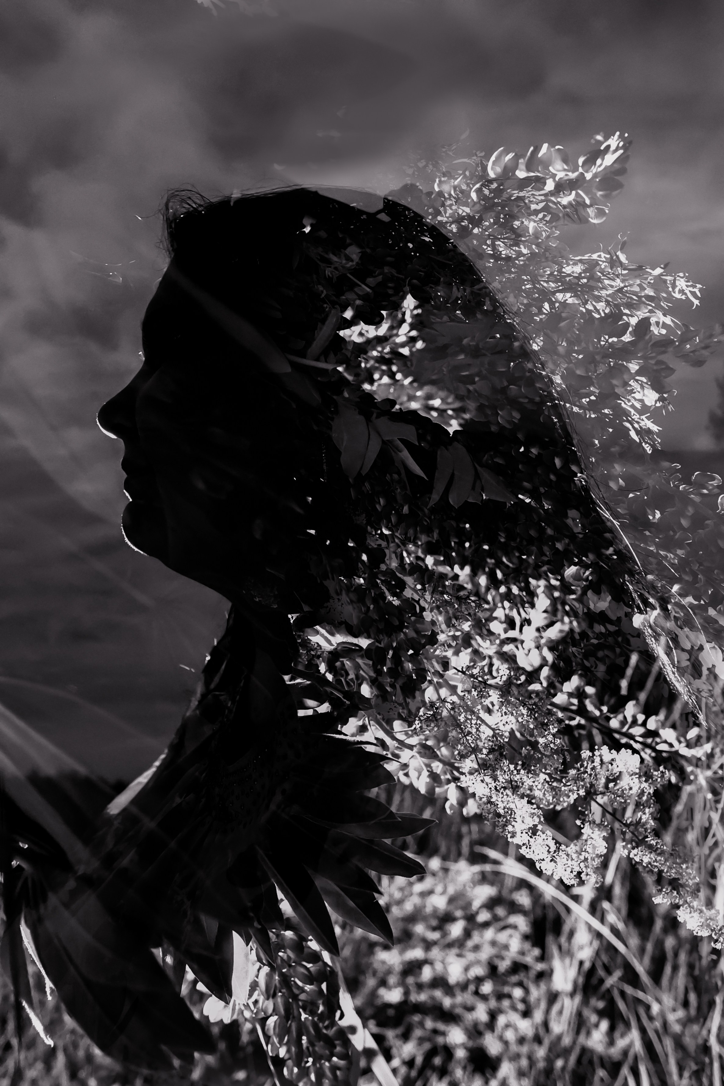 Фотографии в низком ключе