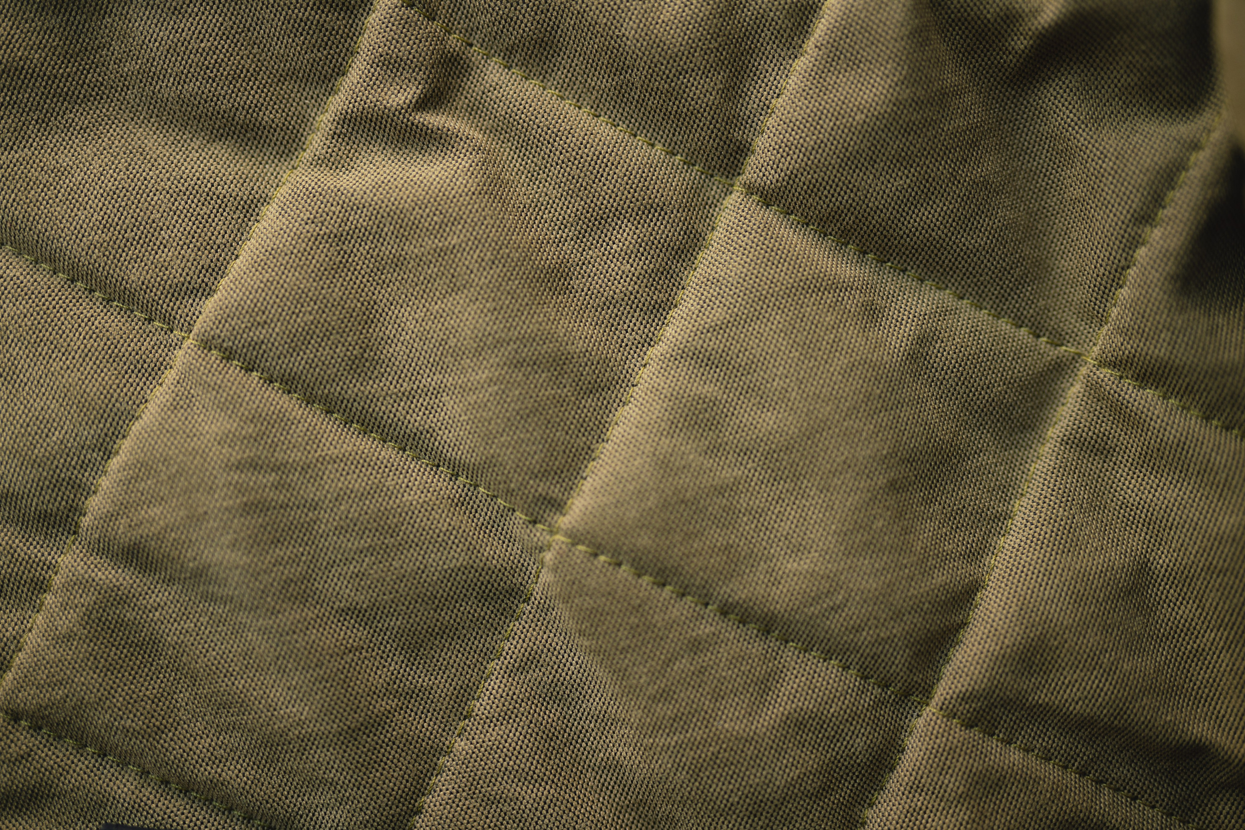 Одежда для собак Bravehound. Фотограф анималист Осипчикова Мария