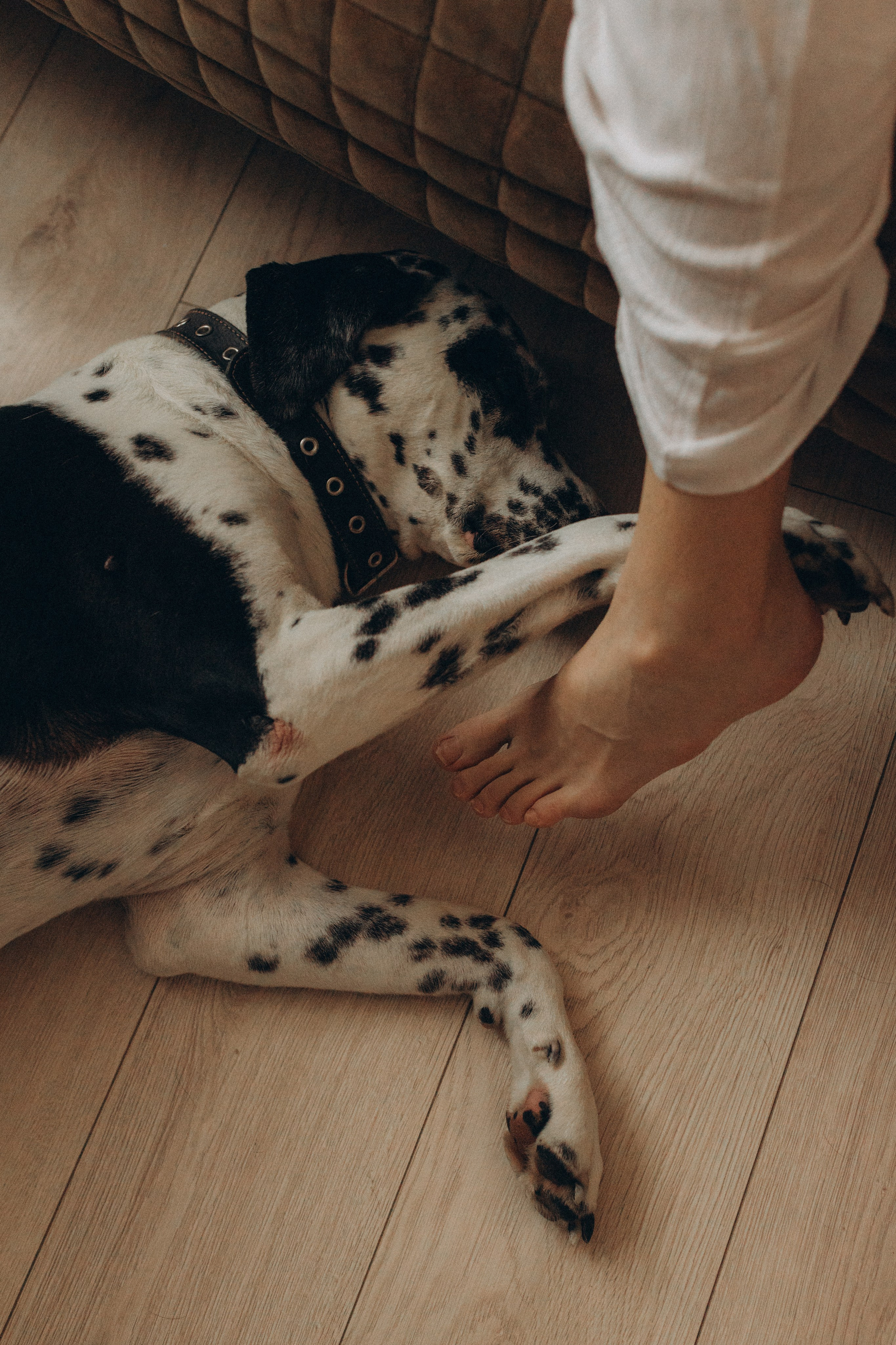 9. Семейный фотограф в Москве Жукова Анна