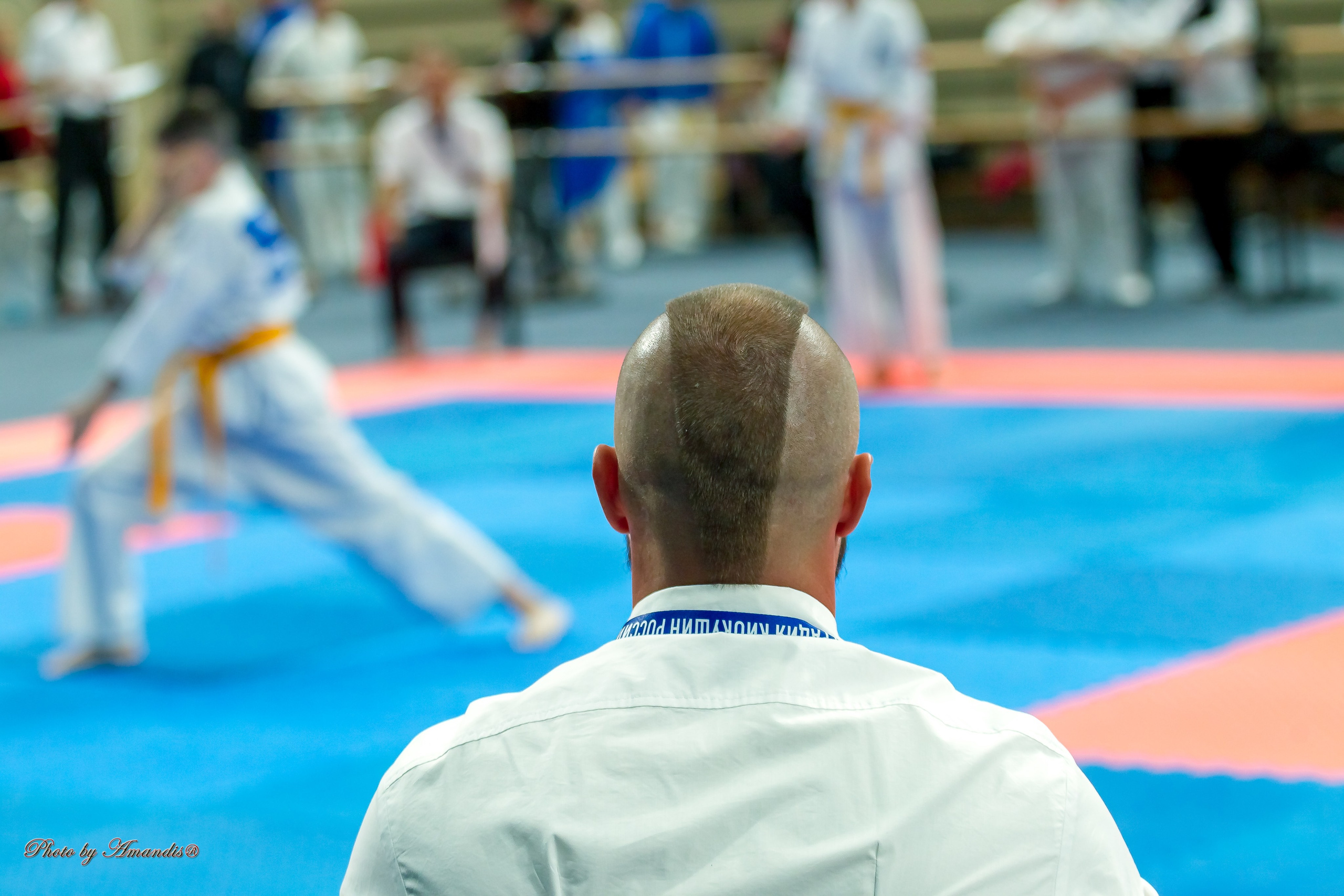 Первенство Московской области по Киокушин в СК «Жаворонки». Репортажная съемка в Москве и области. Анималистика