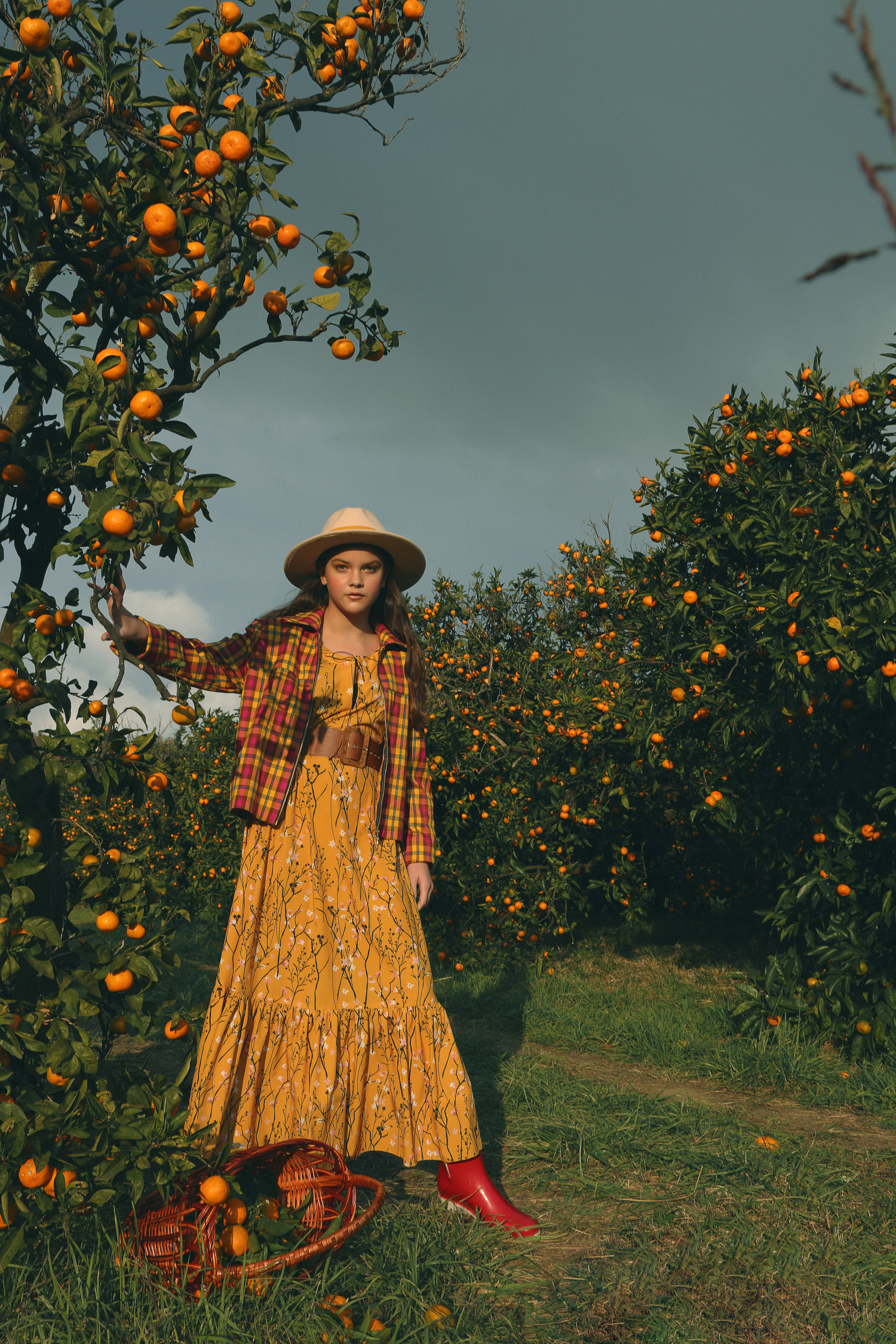 Фотосессия в саду мандаринах Сочи. Профессиональный фотограф в Сочи Виктор Павлюткин