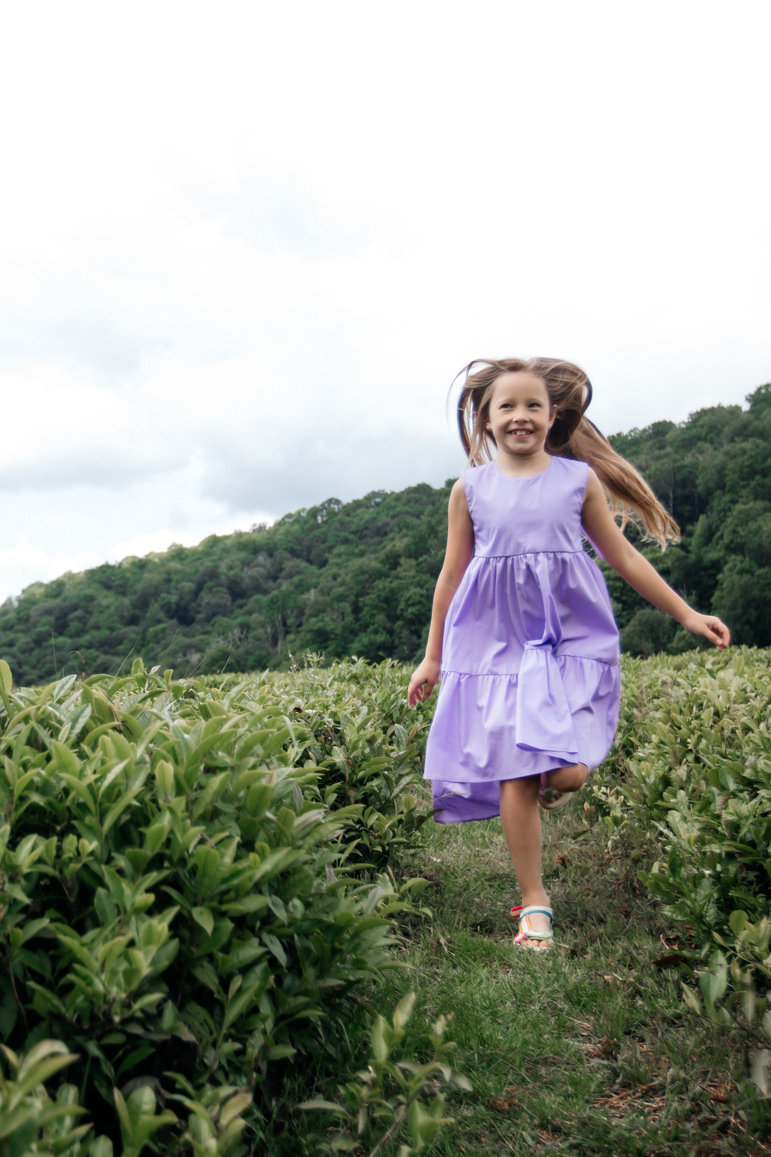 Tea plantation. Efimova Model Agency