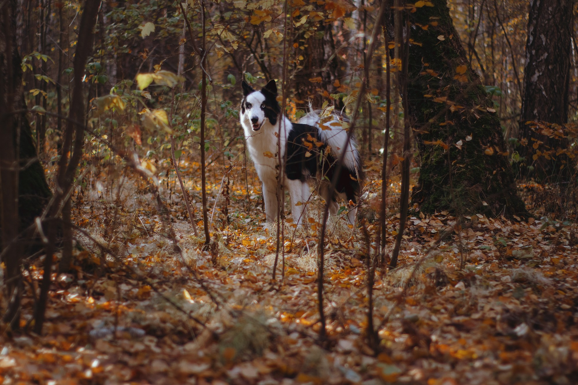 Ликёр. Фотограф в Тюмени Лизавета Сапицкая