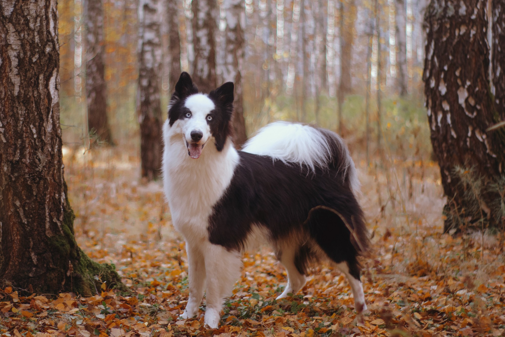 Ликёр. Фотограф в Тюмени Лизавета Сапицкая