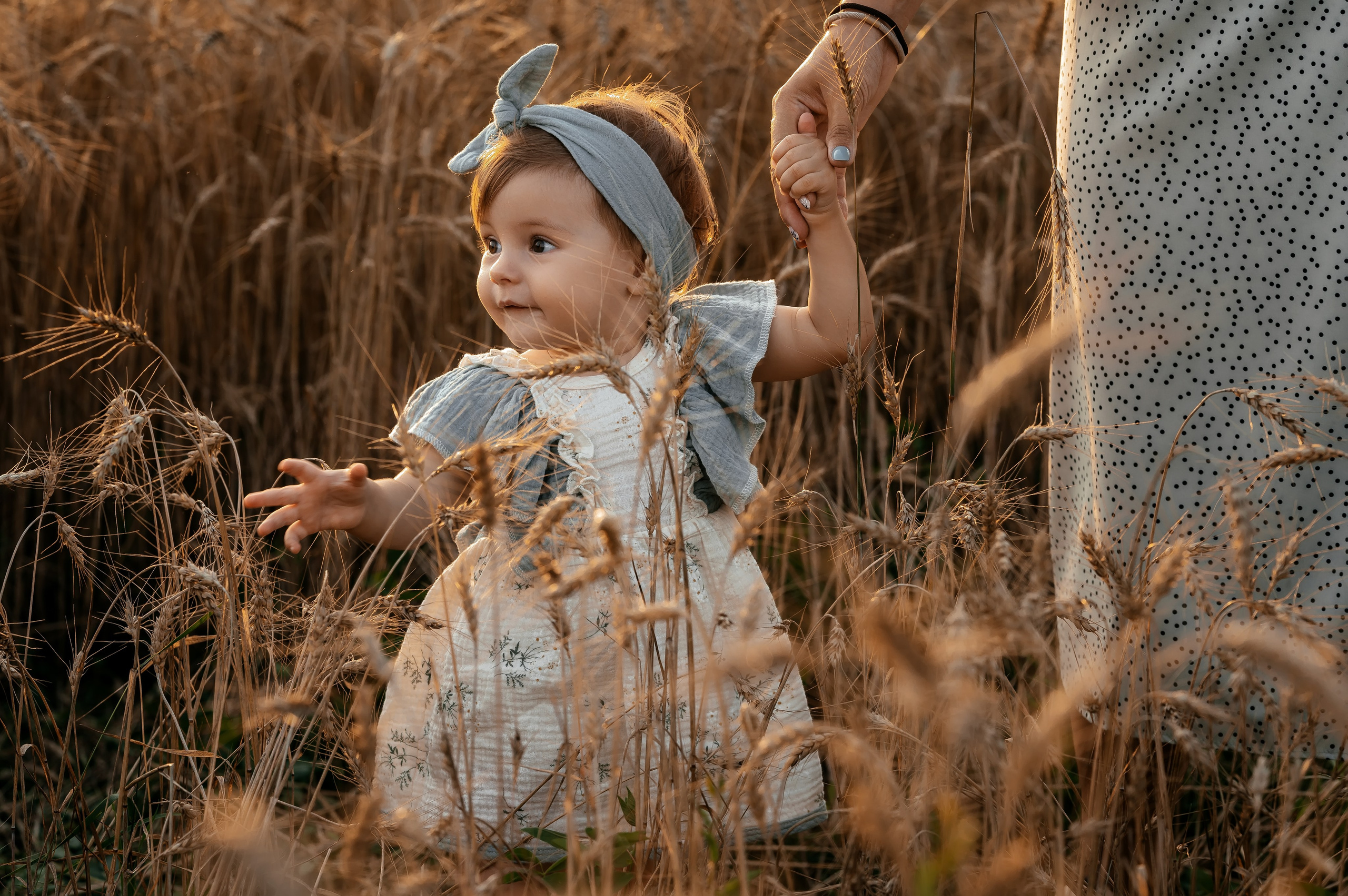 Оля, пшеничное поле в Протасово. Свадебный и семейный фотограф Виктория Носачёва. Щелково, Москва и МО
