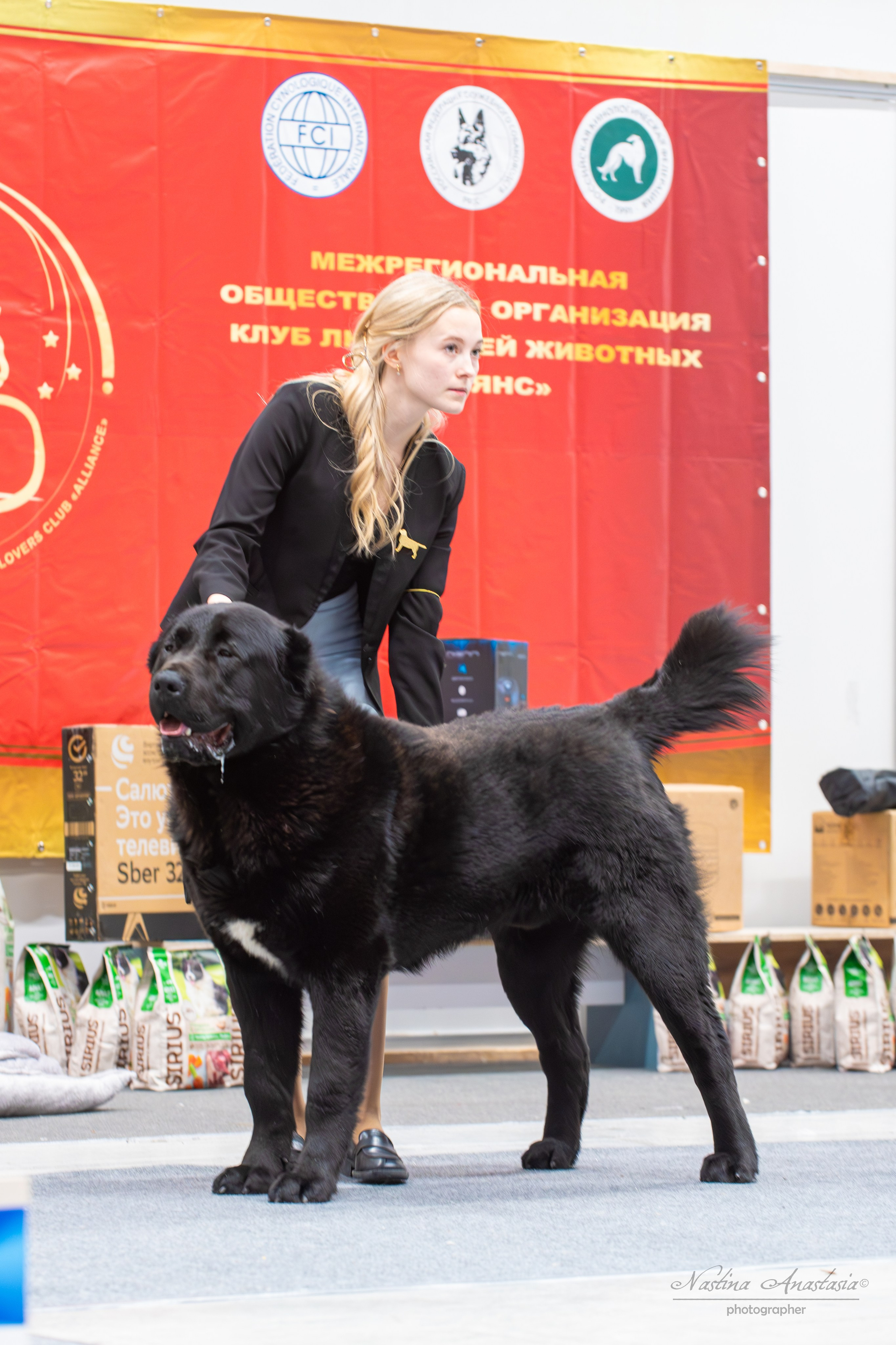 Выставки. Фотограф — Анималист