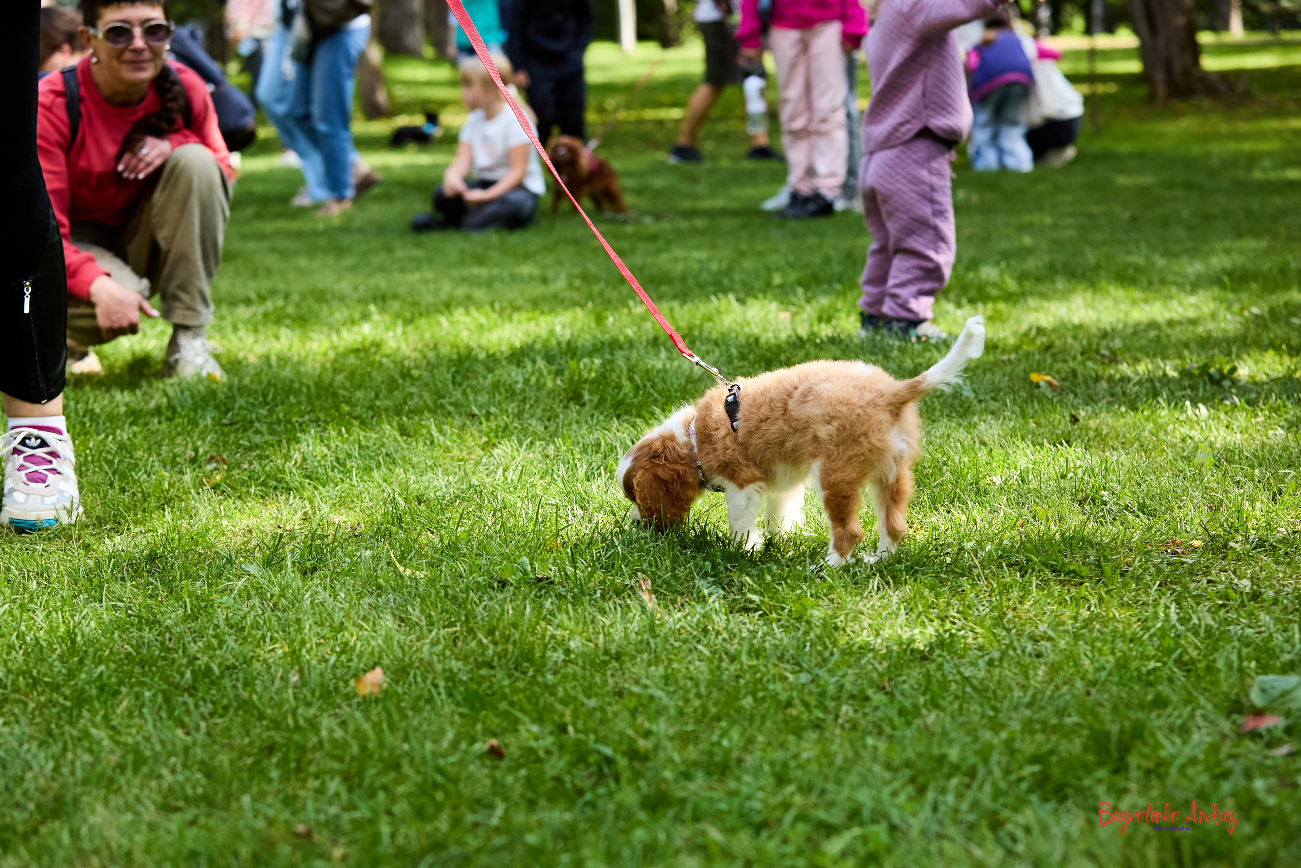 Фотопрогулка с кавалерами. Buyvolenko Andrey