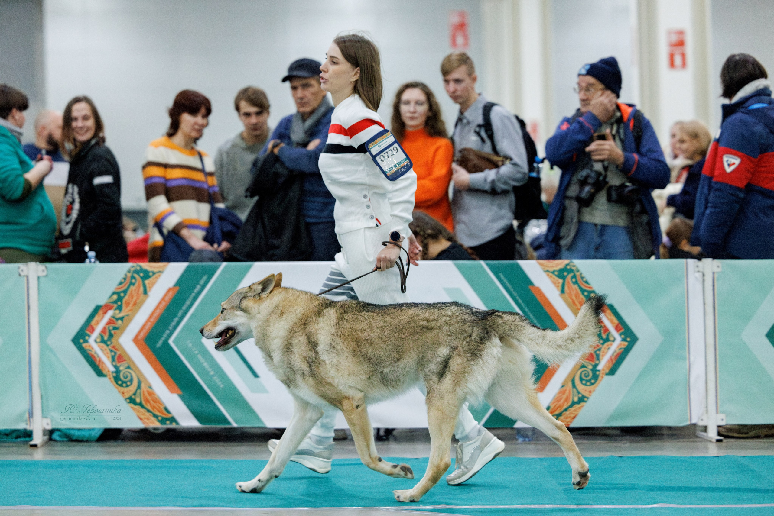 Евразия 16-17.11.2024. Фотограф-анималист Юлия Германика