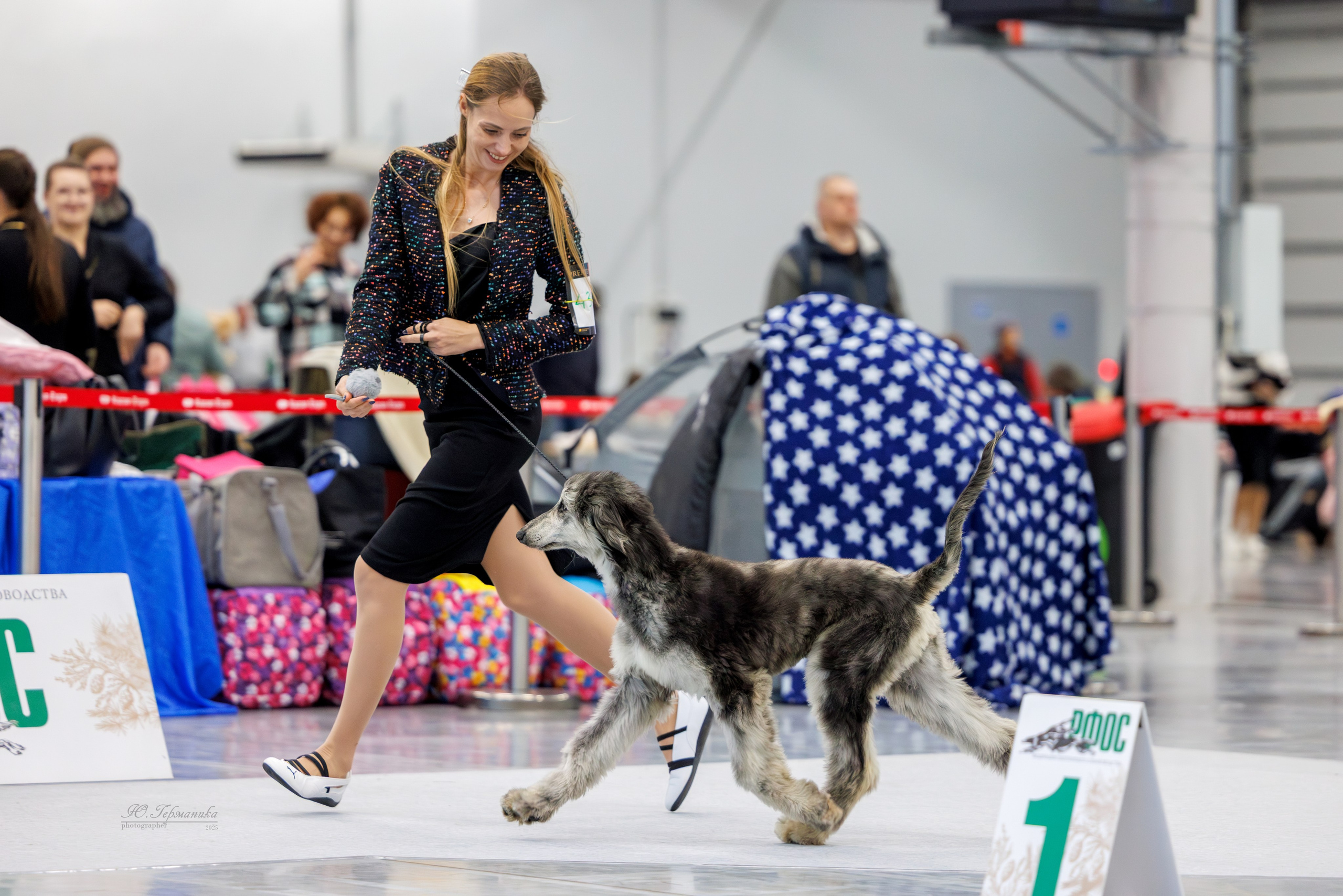 Зилант Казань 29-30.11.2025. Фотограф-анималист Юлия Германика