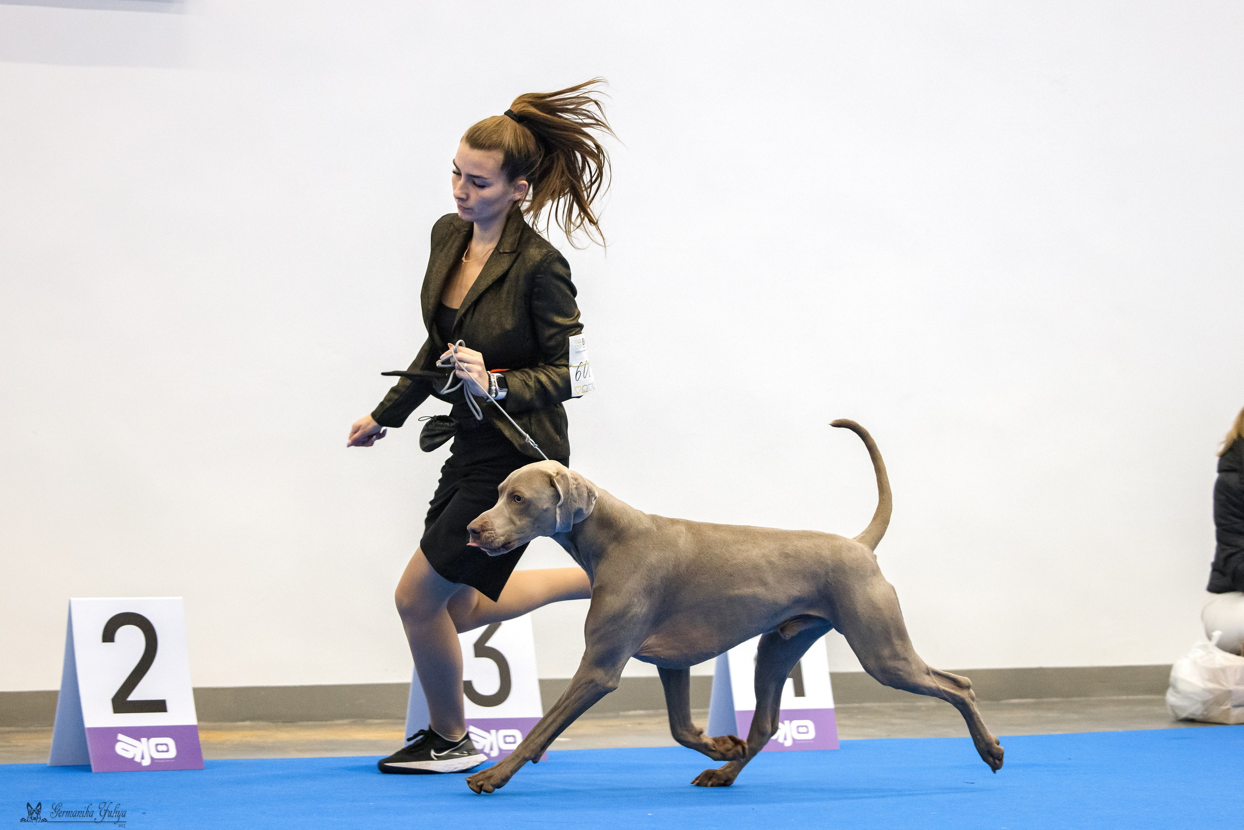 Нижний Новгород 21-22.10.2023. Фотограф-анималист Юлия Германика