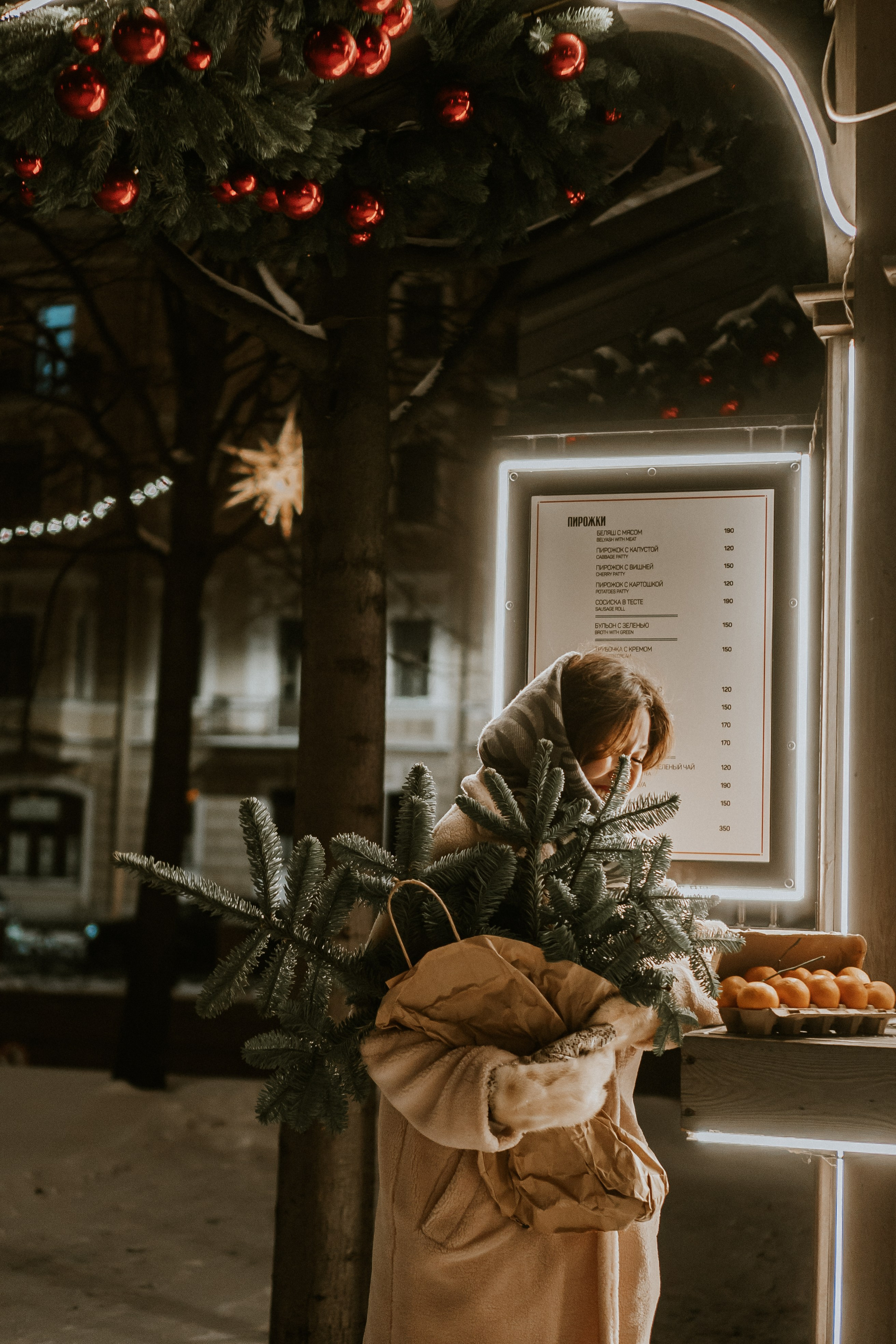 Зимняя сказка в Новой Голандии. Профессиональный фотограф, Санкт-Петербург — Виктория Богомолова