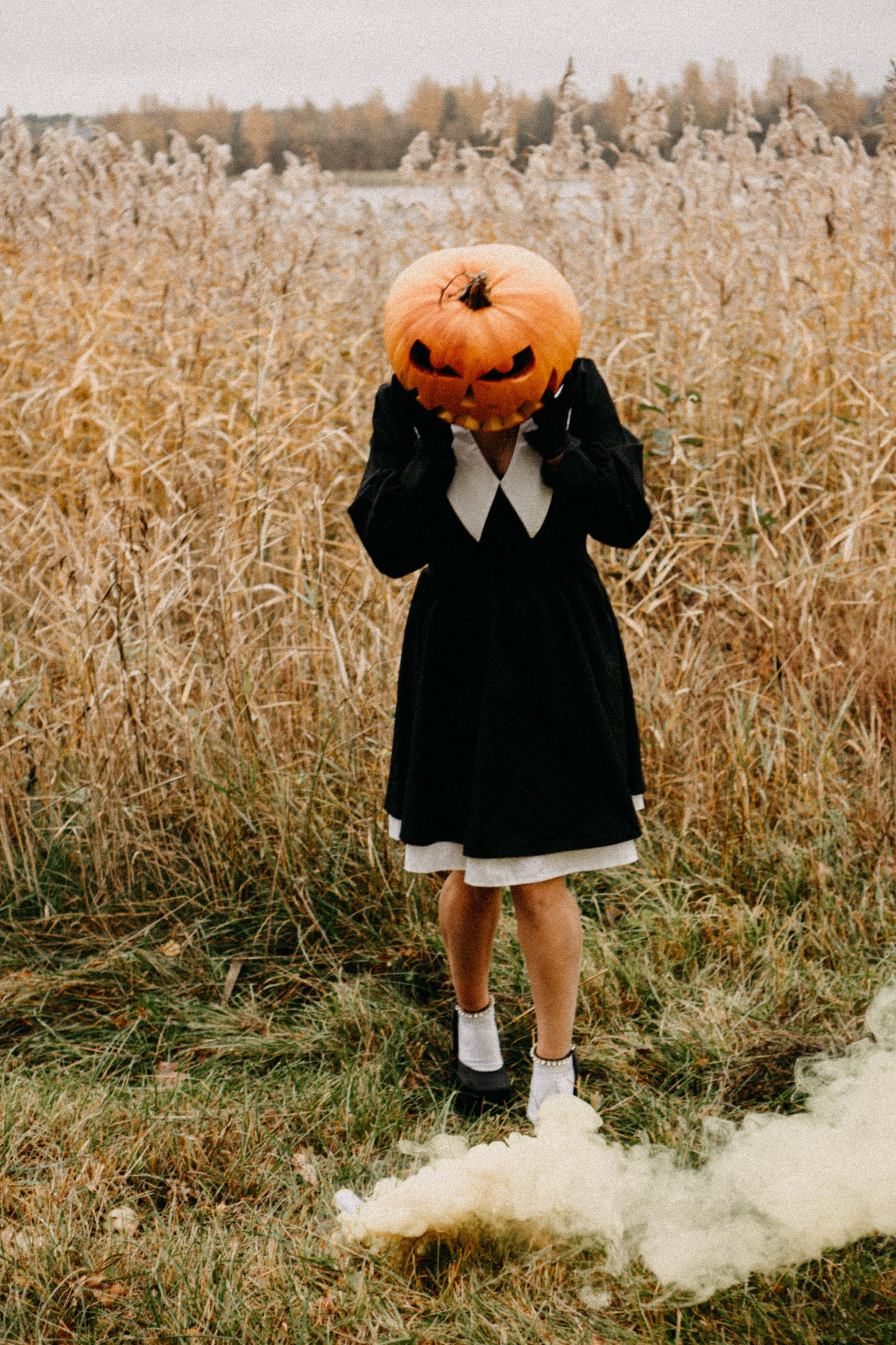Осеняя. Профессиональный фотограф, Санкт-Петербург — Виктория Богомолова