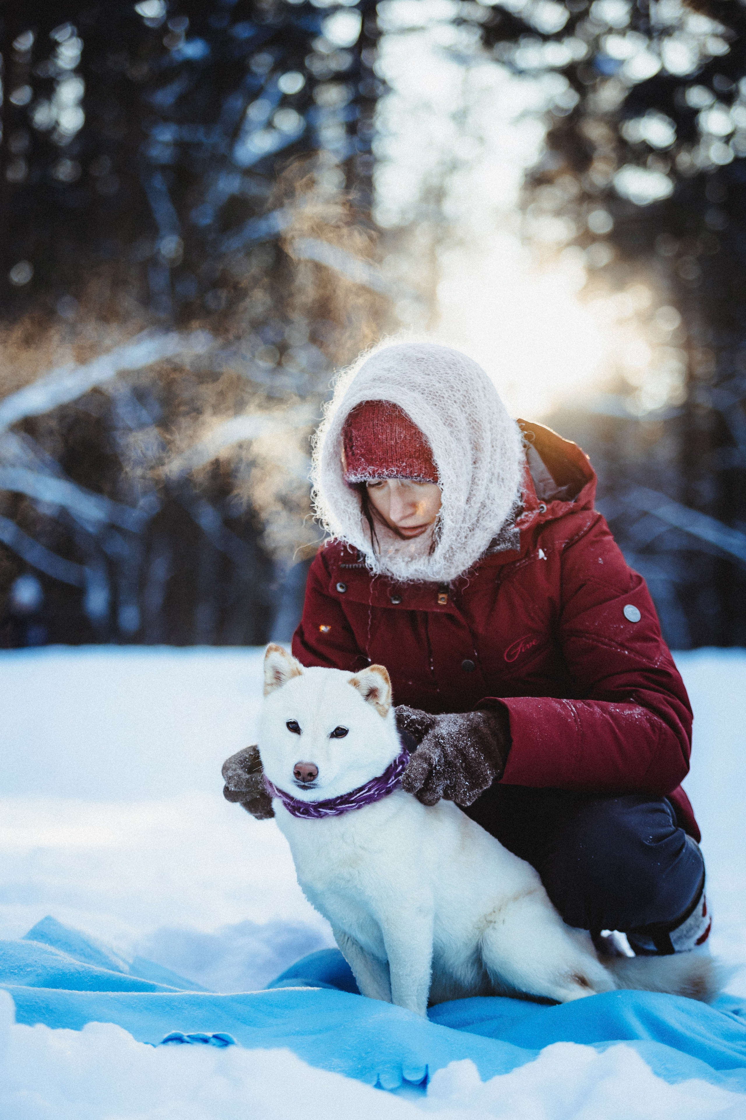 Шед, Цири и Ира