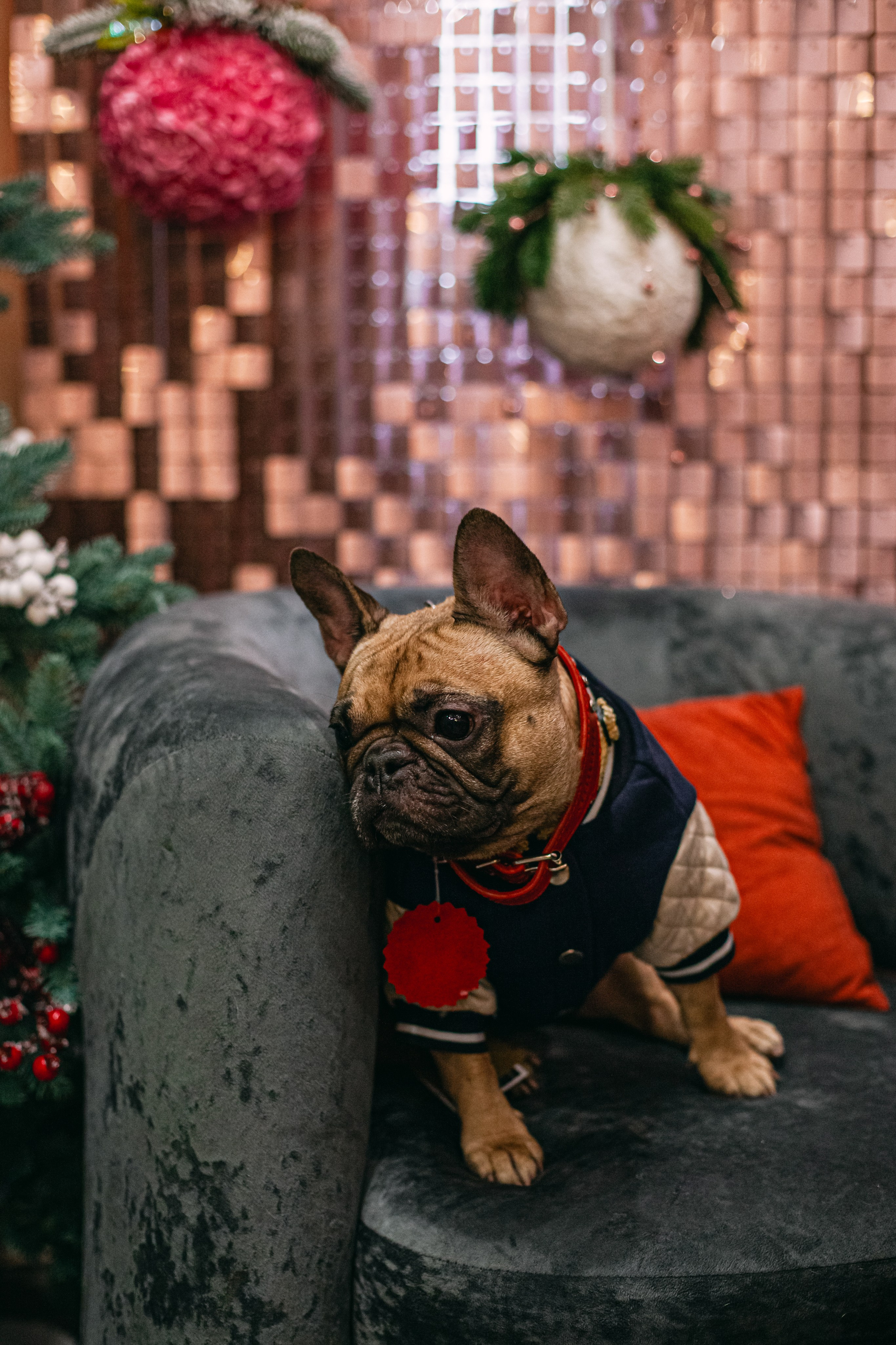 Бульёлка 2024. Фотограф-анималист Татьяна Степанова