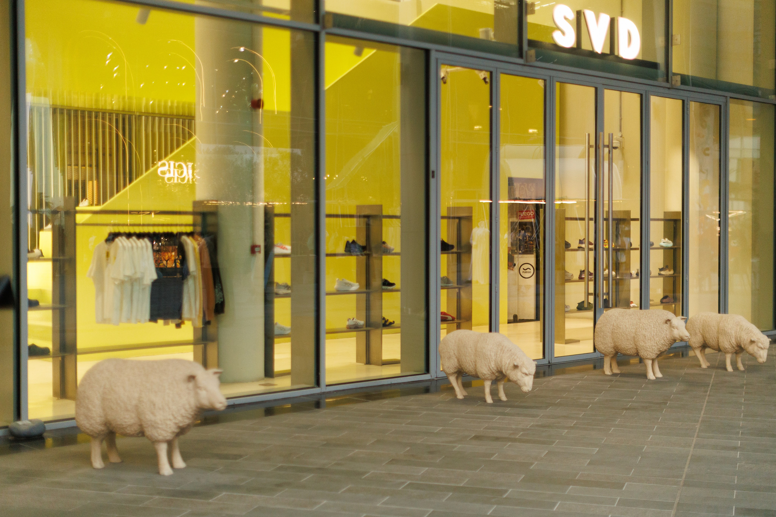 DUBAI DESIGN WEEK 11.25. Фотограф в Москве