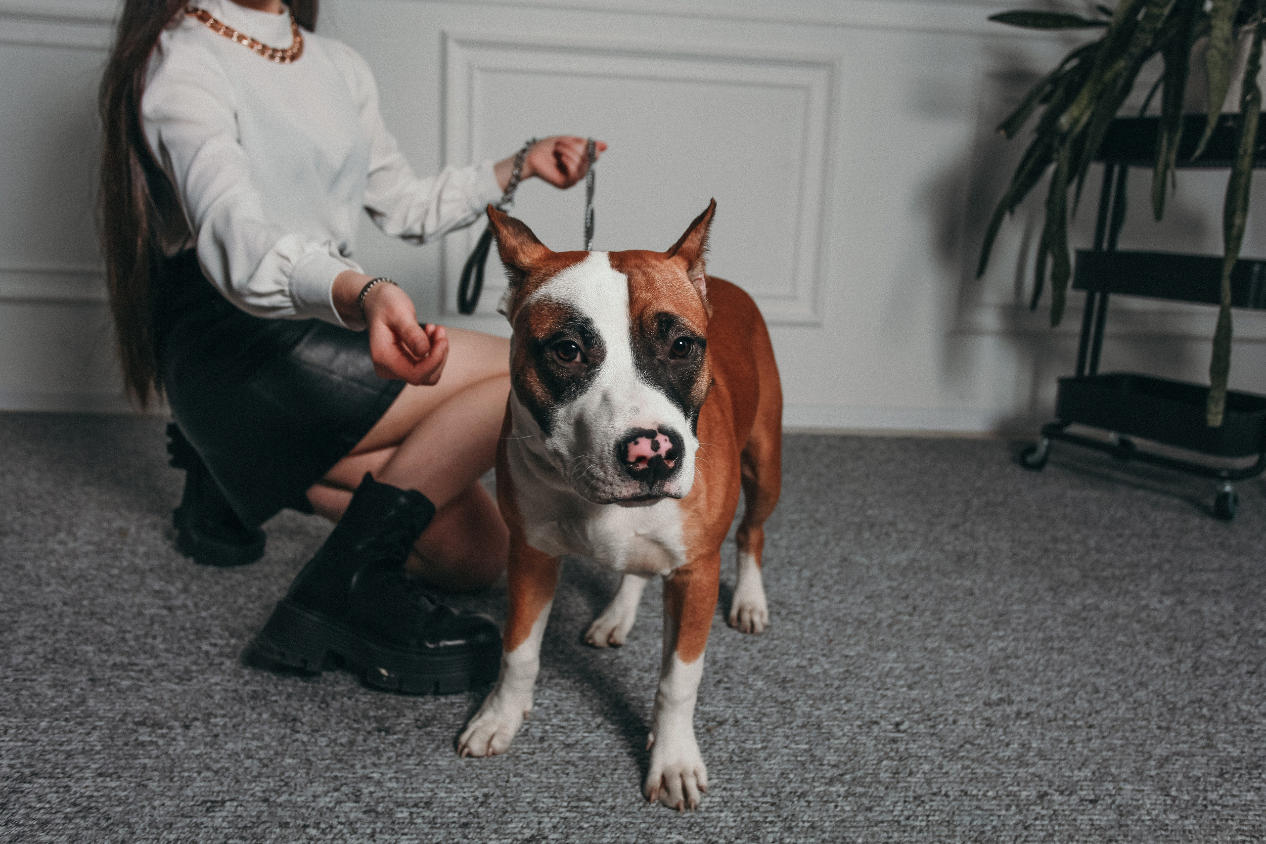 Ксения и Бакс. Фотограф Дарья Локотко в Красноярске