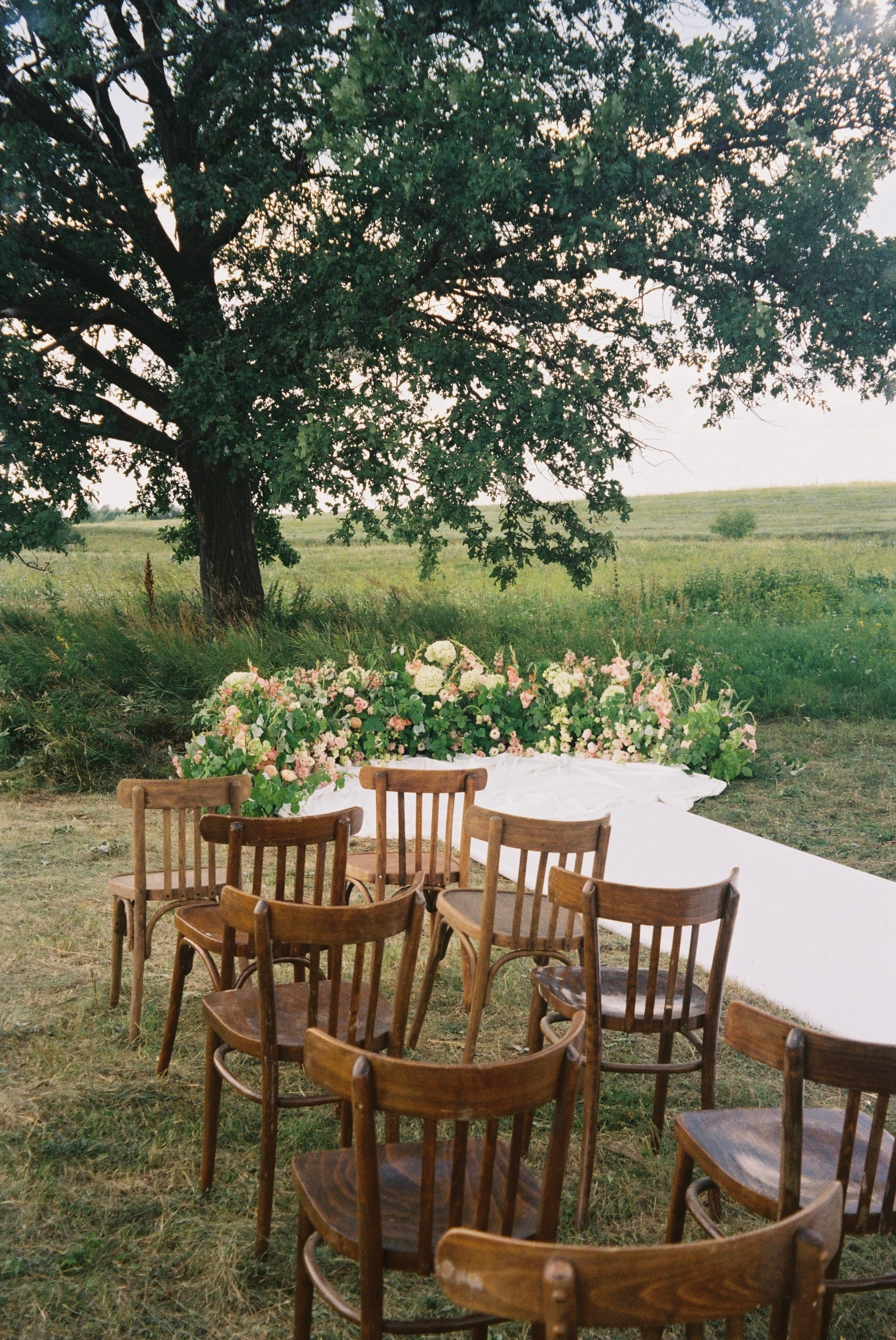 Дилия и Руслан, церемония у дуба. Фотограф любви в городе Казань