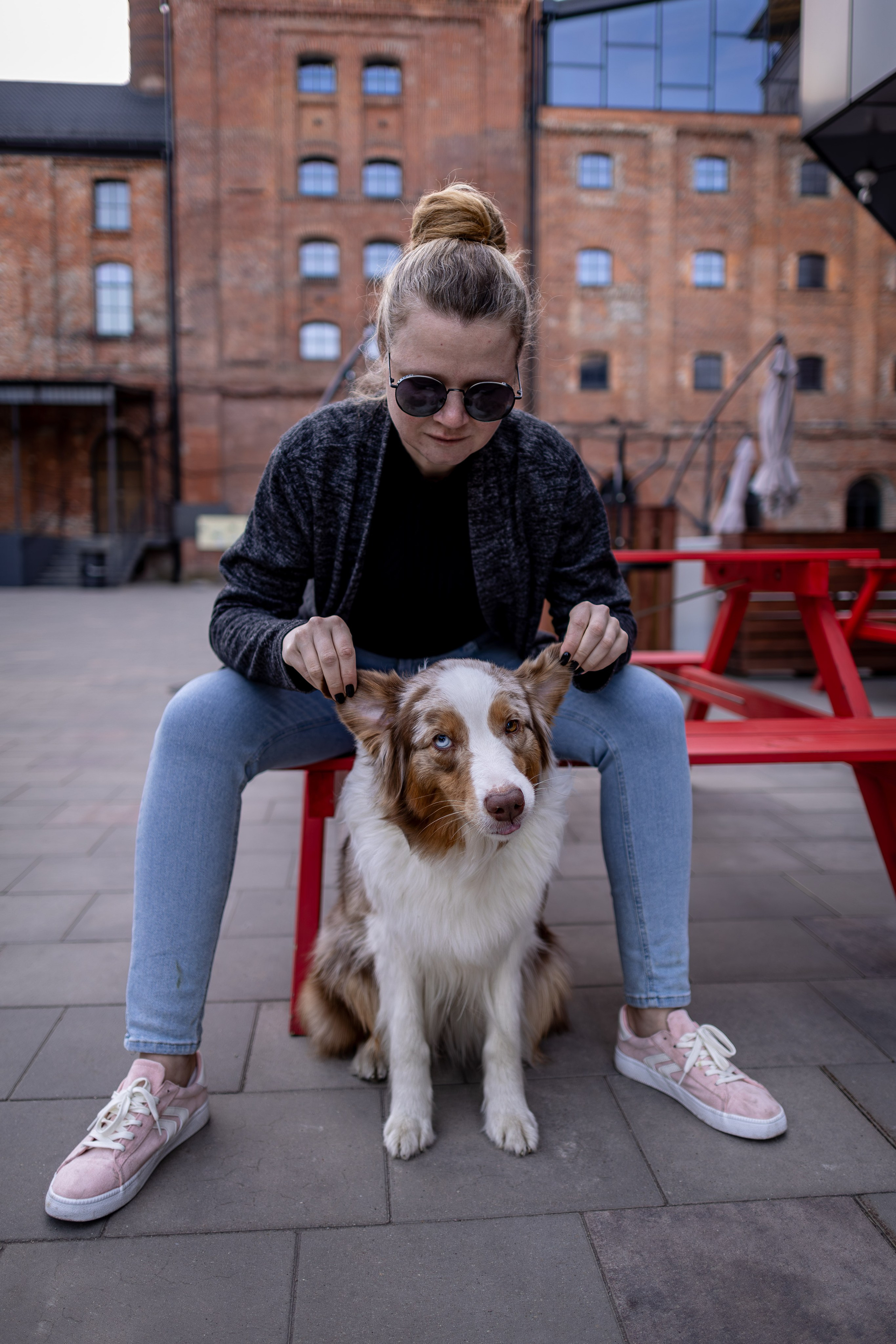 Полли, Австралийская Овчарка. Ирина Голомб|Фотограф-анималист в  Сочи и Калининграде