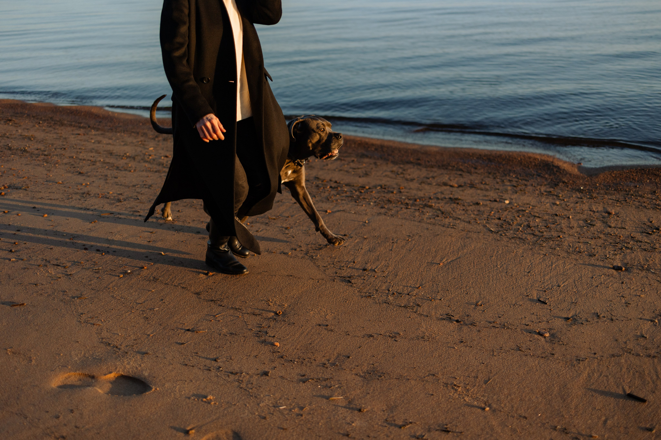 Анна и Лана. Фотограф — Анималист | Санкт-Петербург