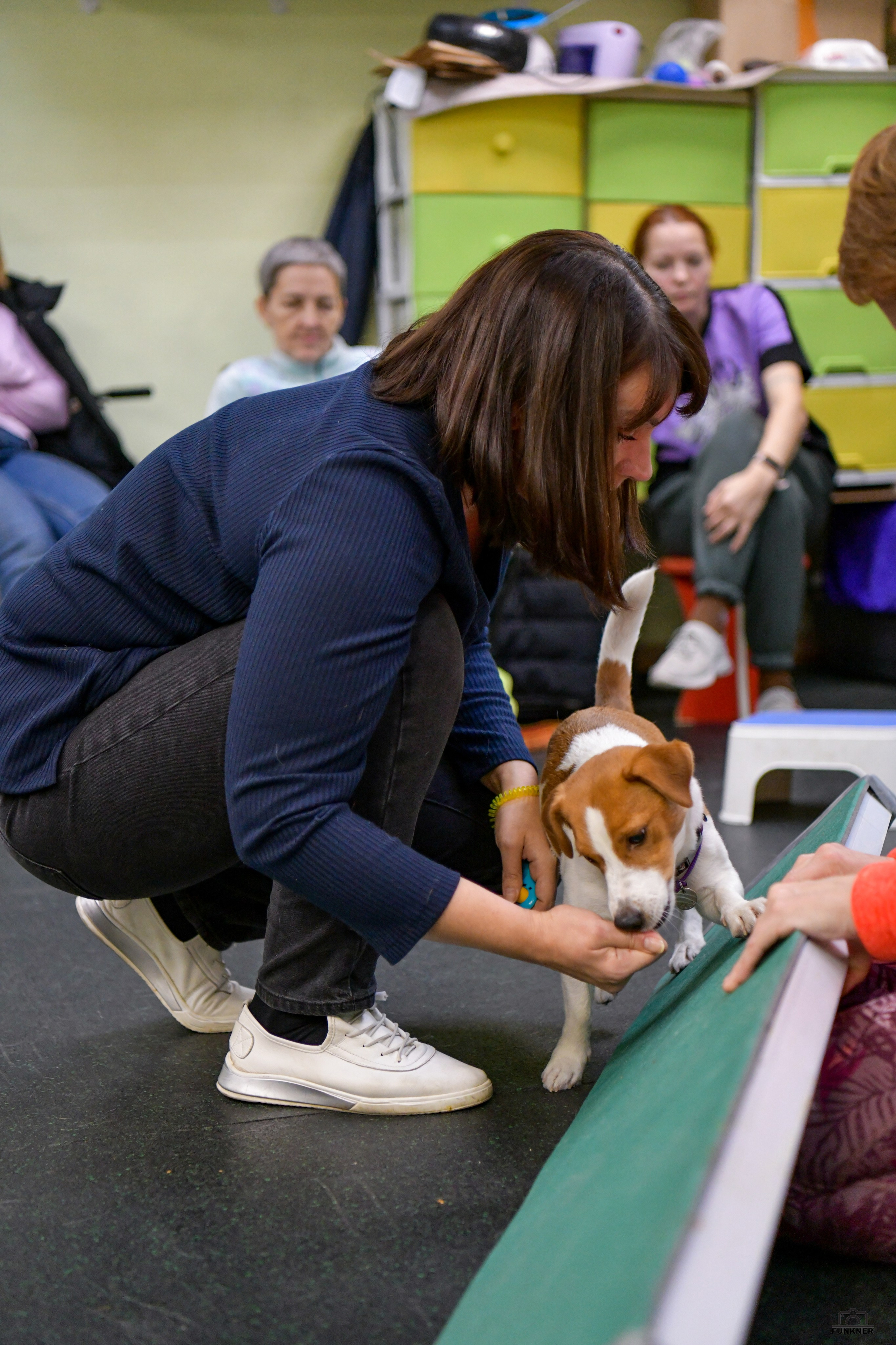 Кинологический клуб «Бодрый хвост». Свой взгляд через объектив