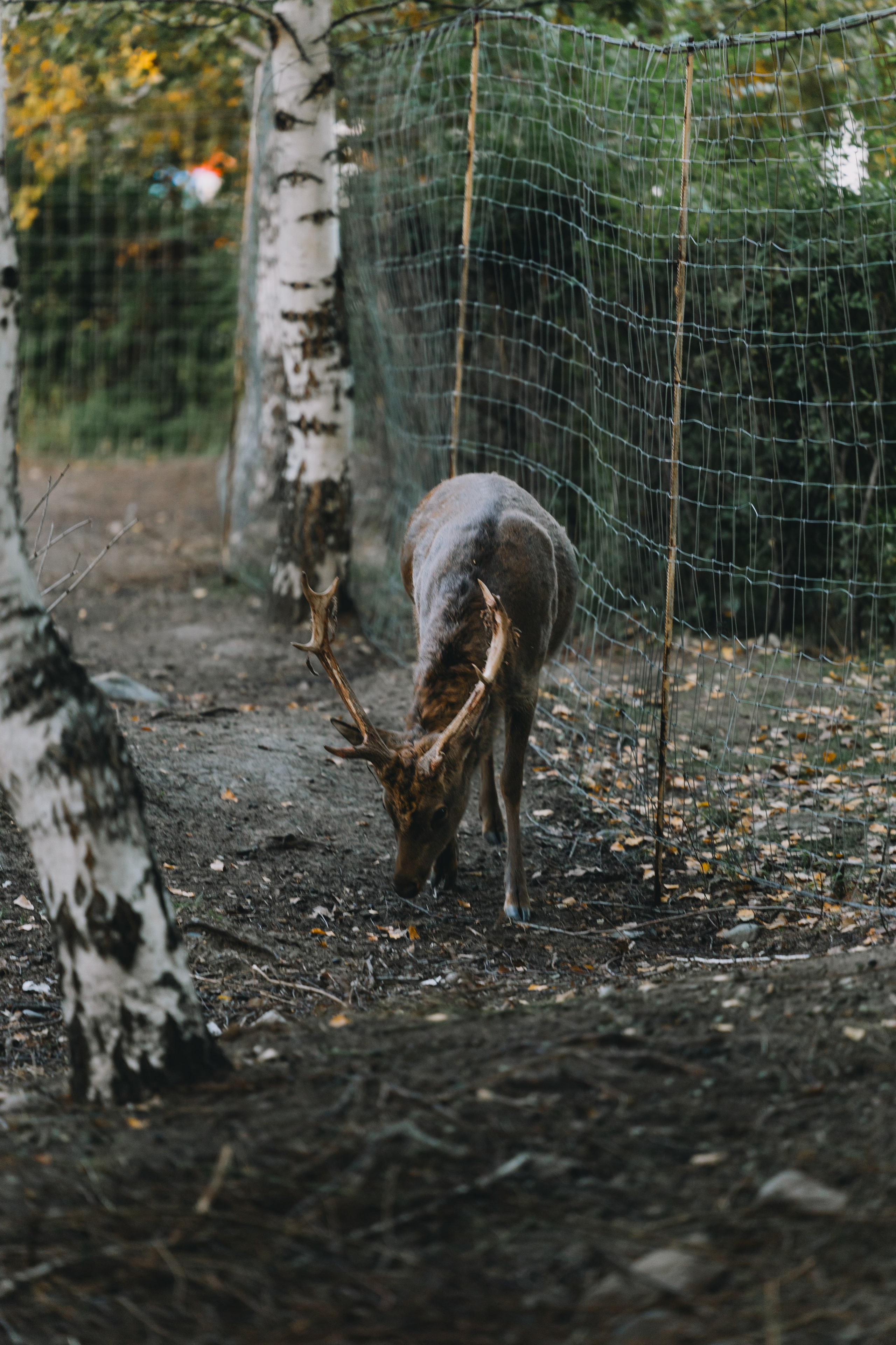 Усть-Каменогорск, Сентябрь 2024