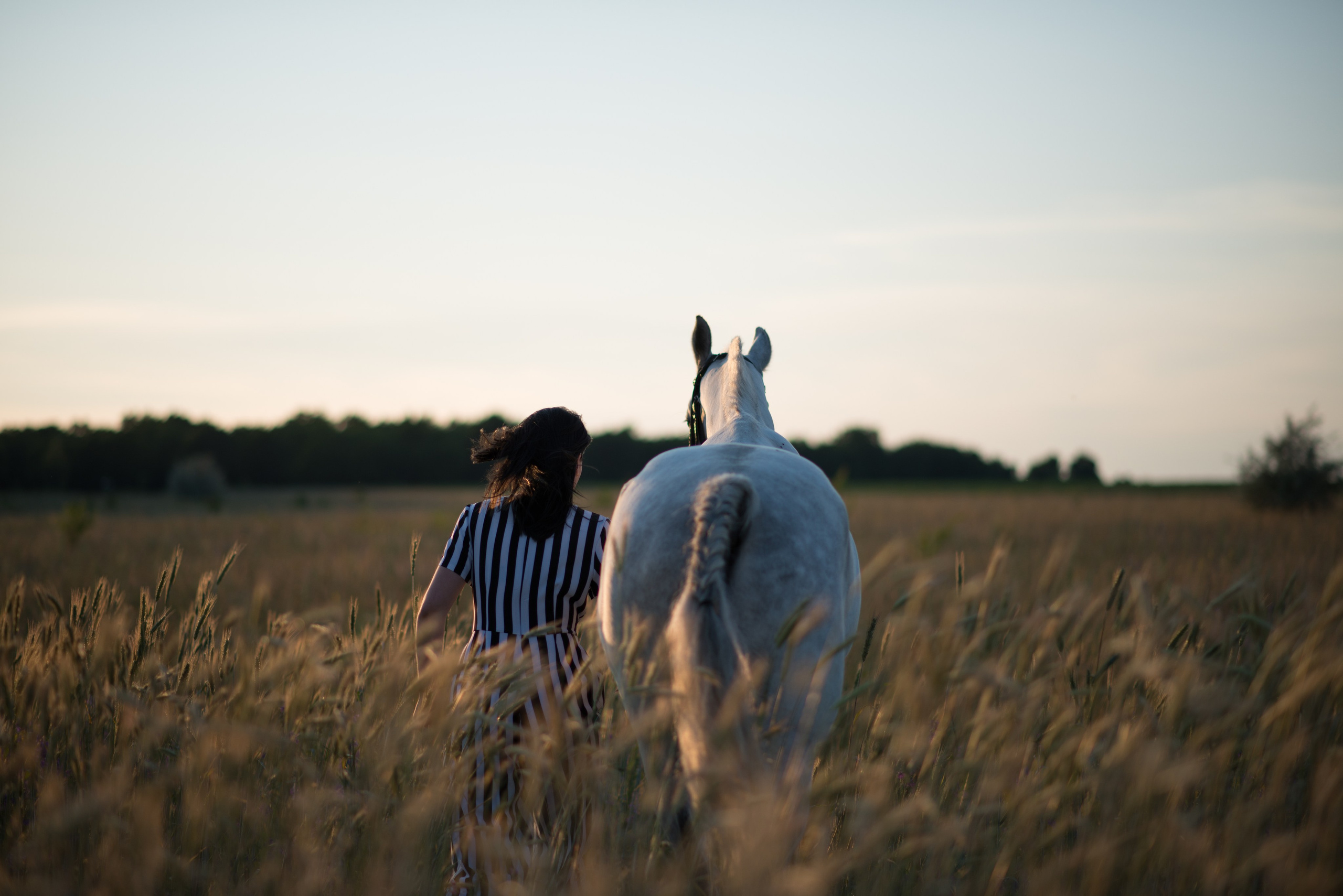 Кристина и Гипноз. Конный фотограф в Саратове Юлия Иванова