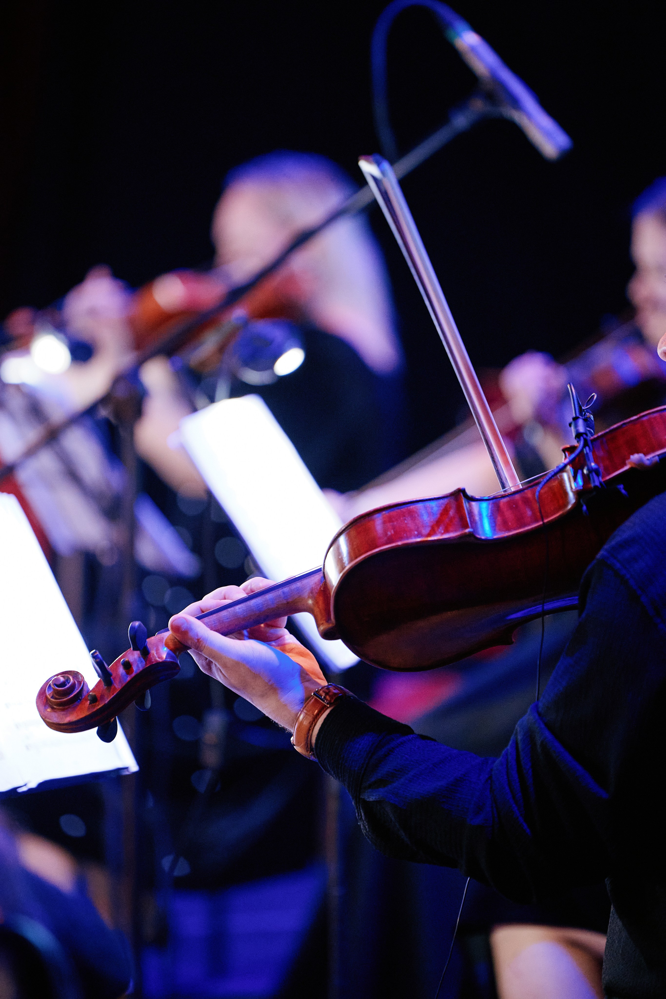 Шедевры мировой неоклассики при свечах. The Best 26.02. Свадебный репортажный фотограф краснодар максим дремов дрёмов фотосессия студия цена