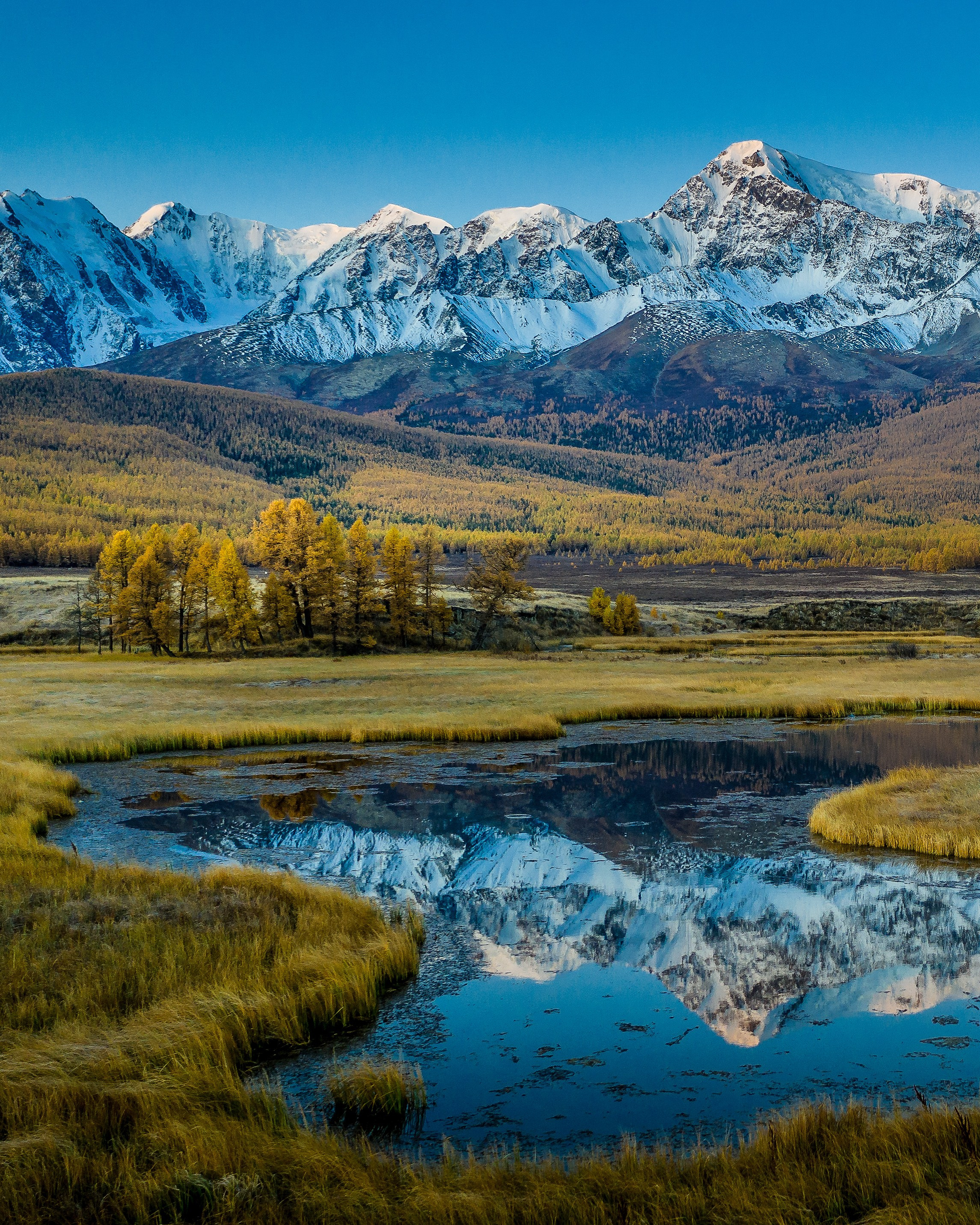 Алтай осень. Фотограф Евгений Кожевников