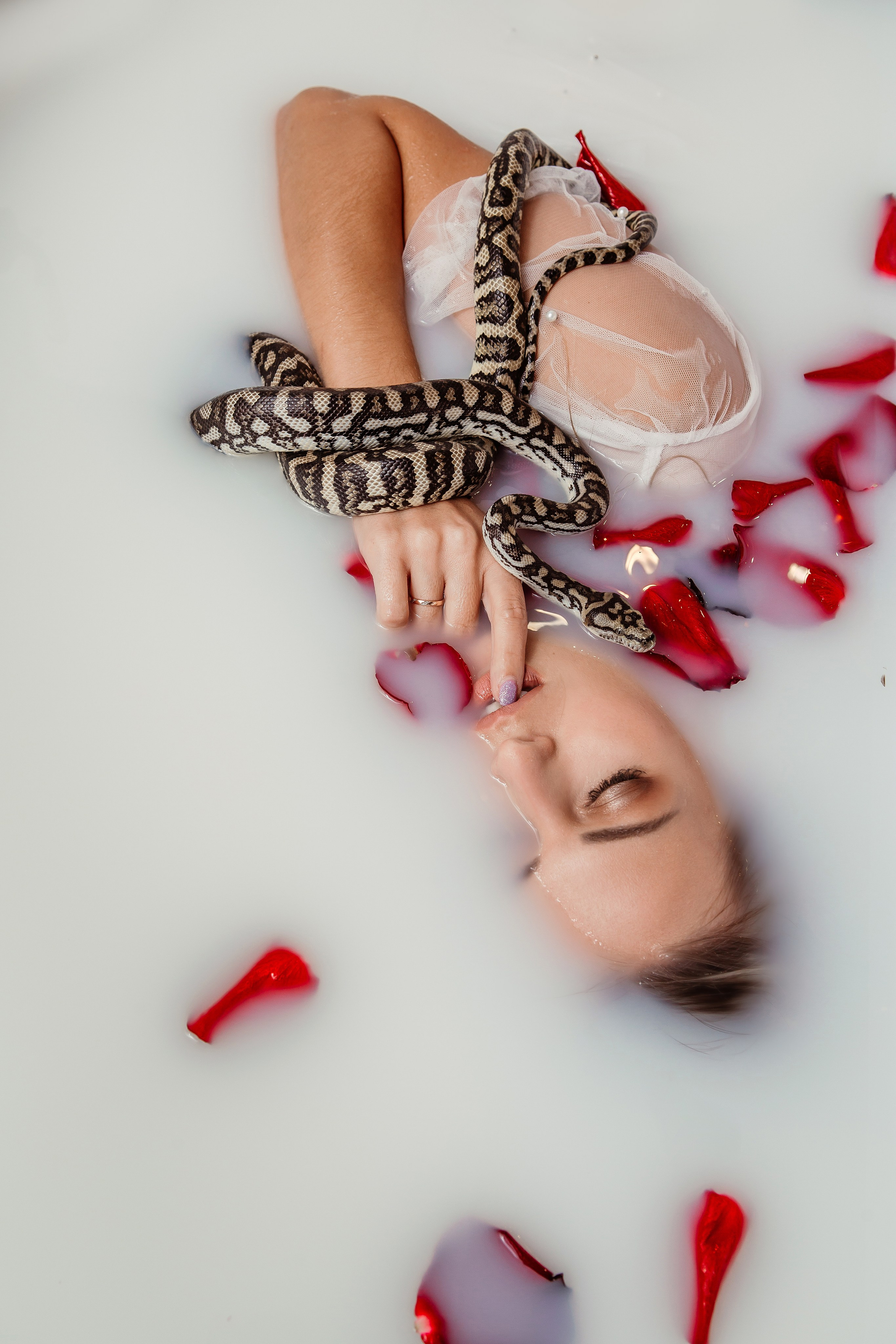 Змеи. Фотограф Новороссийск