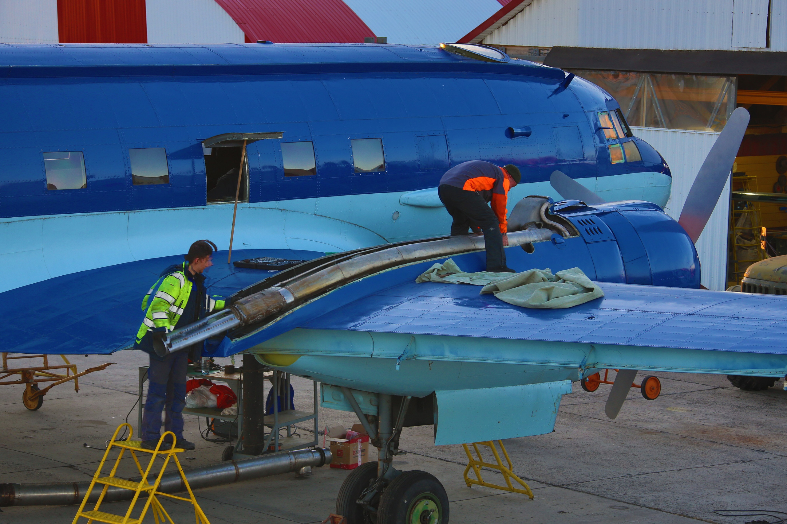 Ил-14Т «Голубая Мечта» (2026 г.). Фотоальбом показывающий увлекательный мир авиации и мир медведей Андрея Иванова