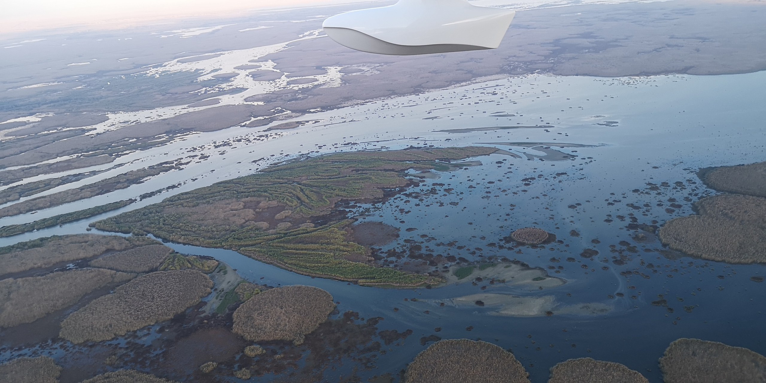 Каспийское море (наука на Ла-8) (2021 г.). Фотоальбом показывающий увлекательный мир авиации и мир медведей Андрея Иванова