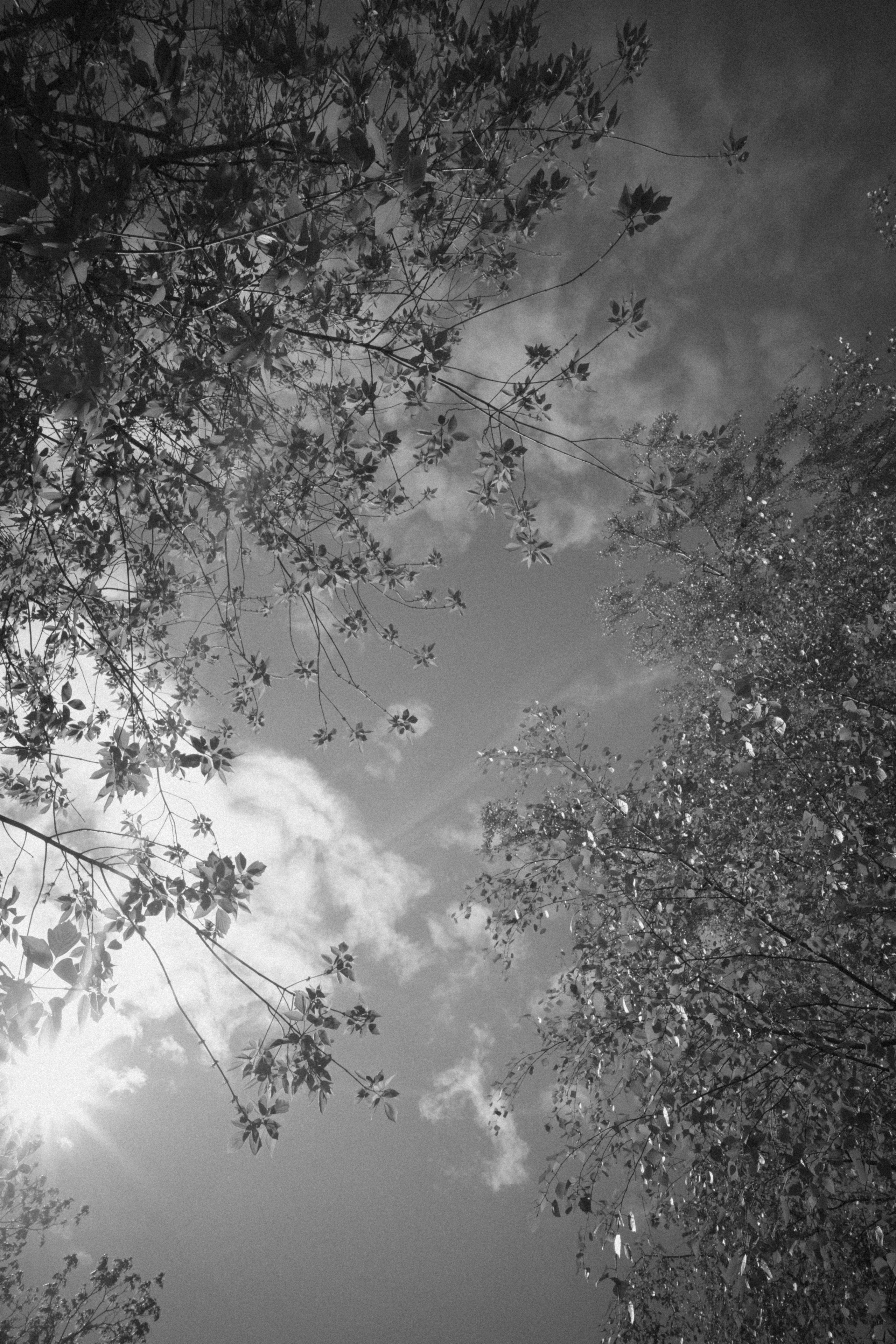 Intemporel. F11 production