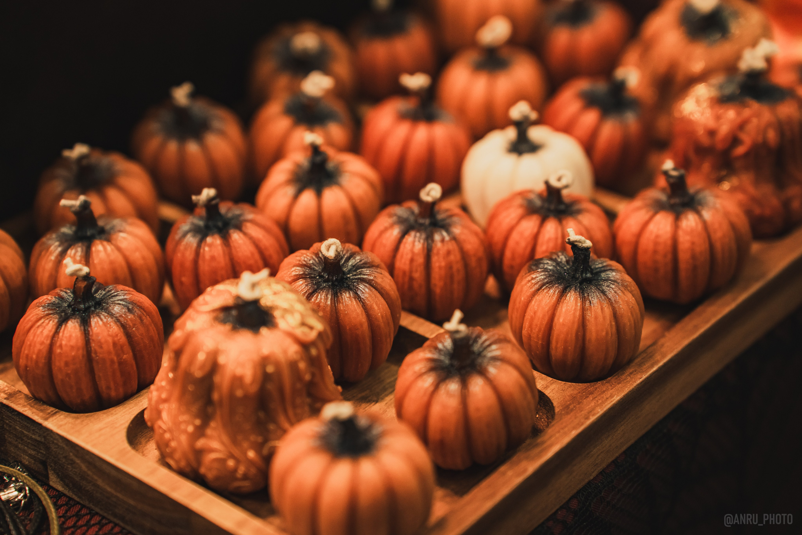 Fox Family fest. Репортажный фотограф Анастасия Рубцова