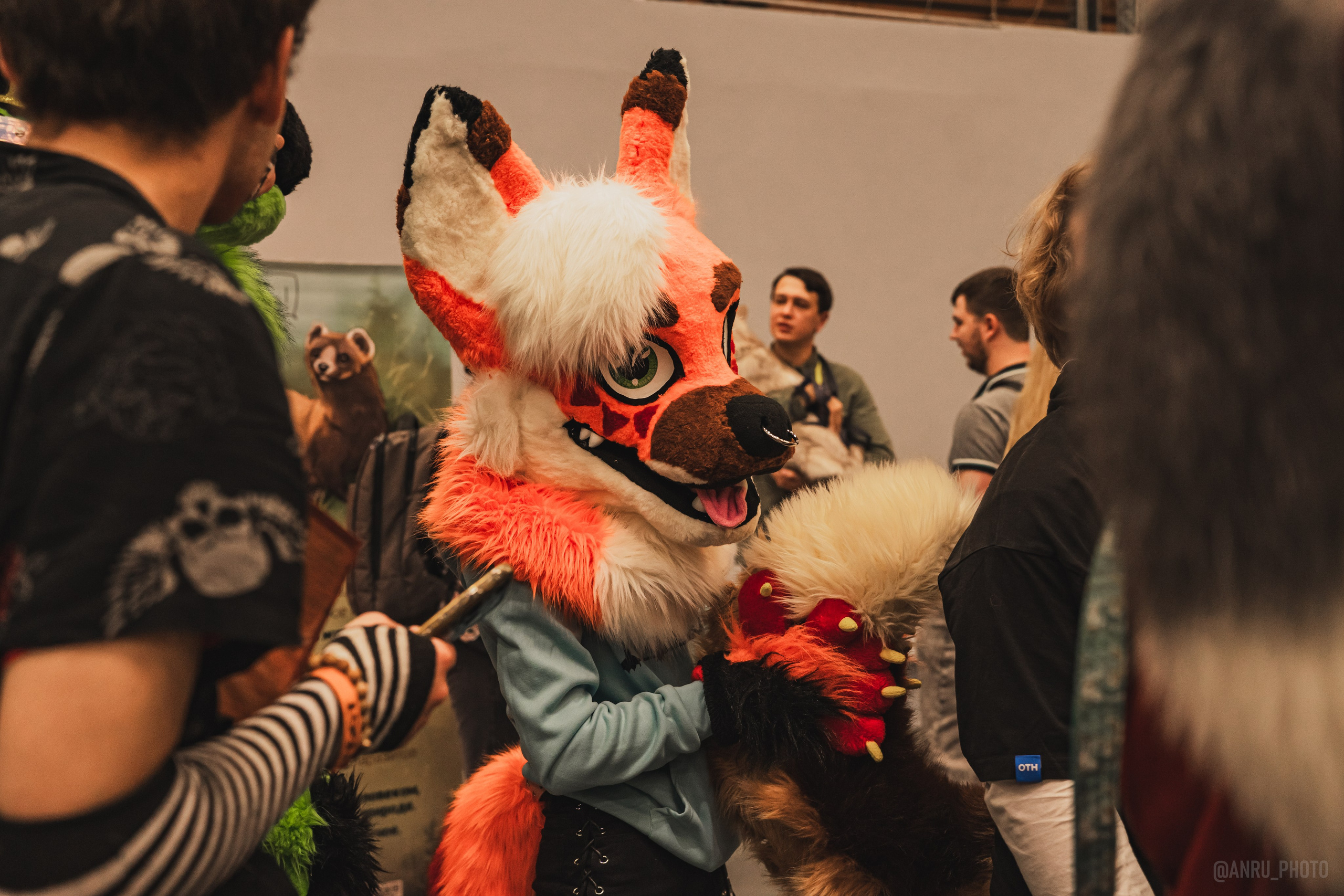 Fox Family fest. Репортажный фотограф Анастасия Рубцова