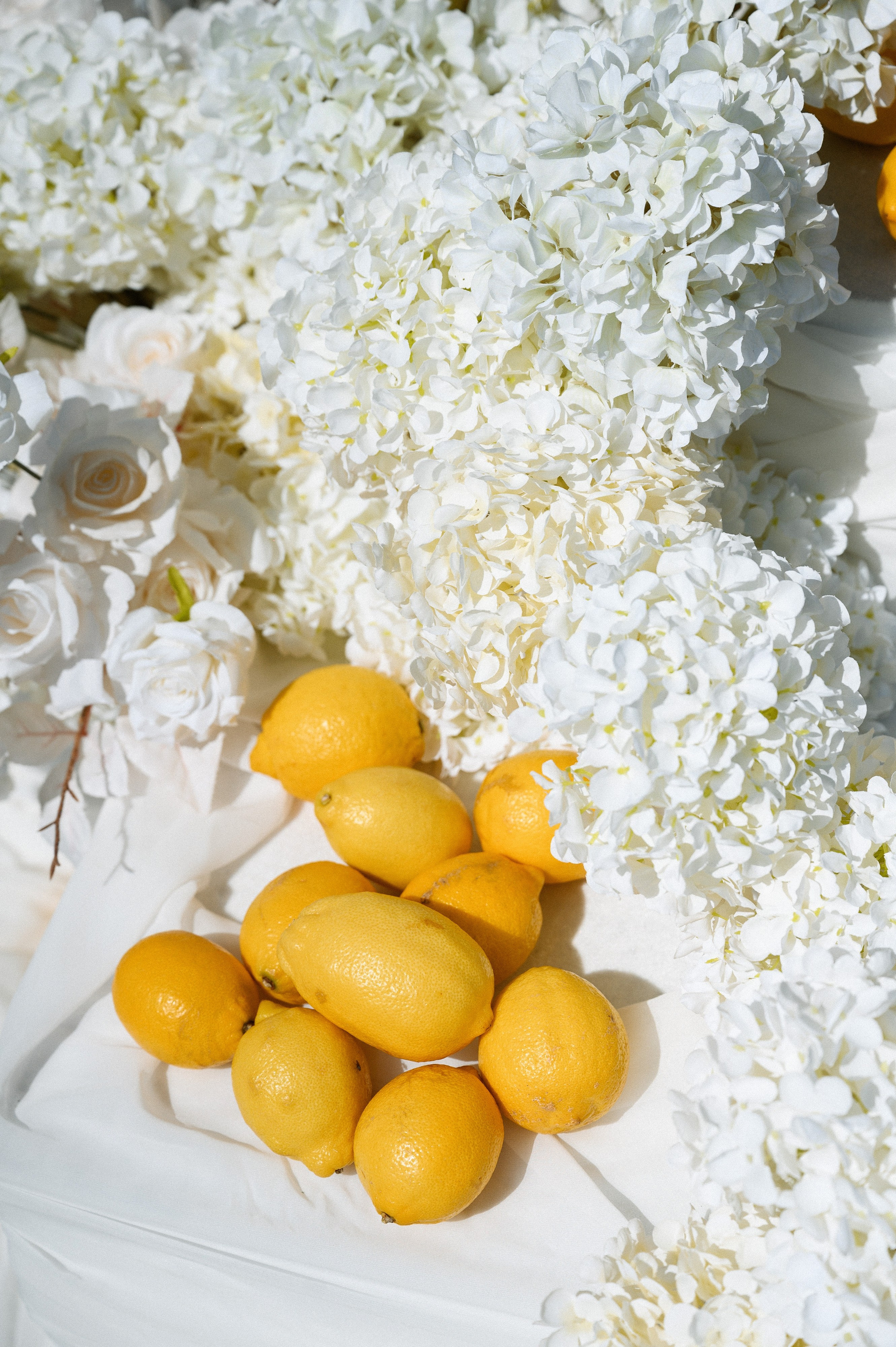 Илья & Алина