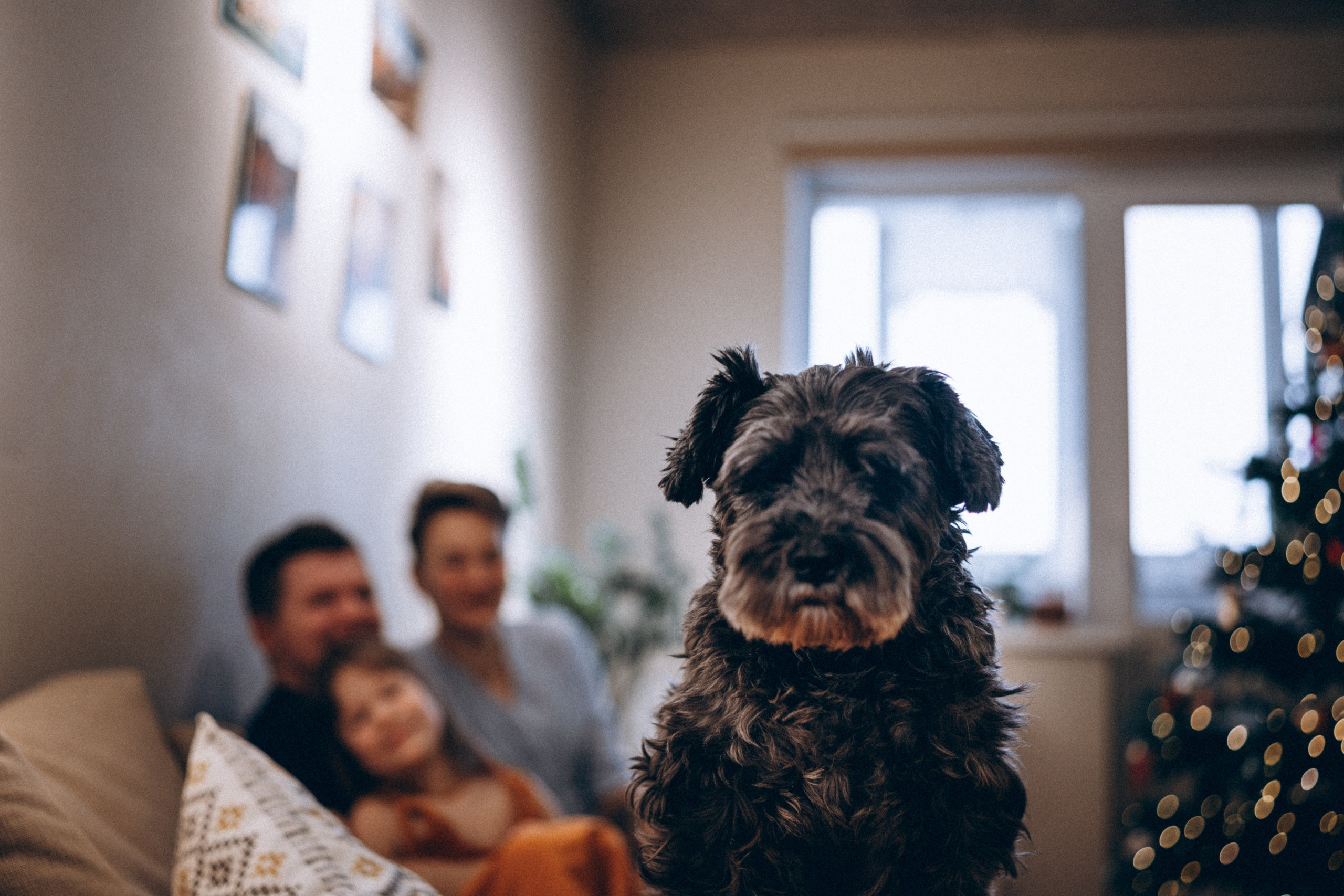 Лёша, Лида, Юра, Лия. Фотограф в Санкт-Петербурге Батурина Елена