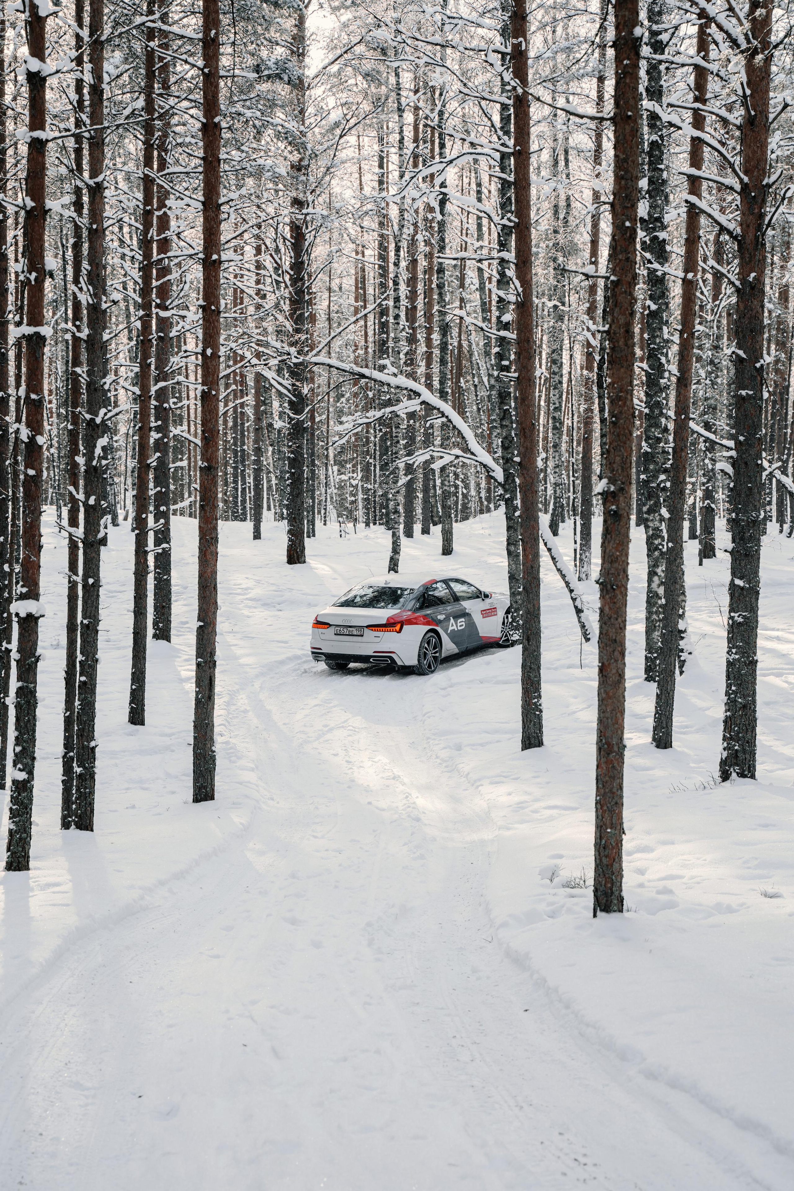 Ауди Центр Лахта