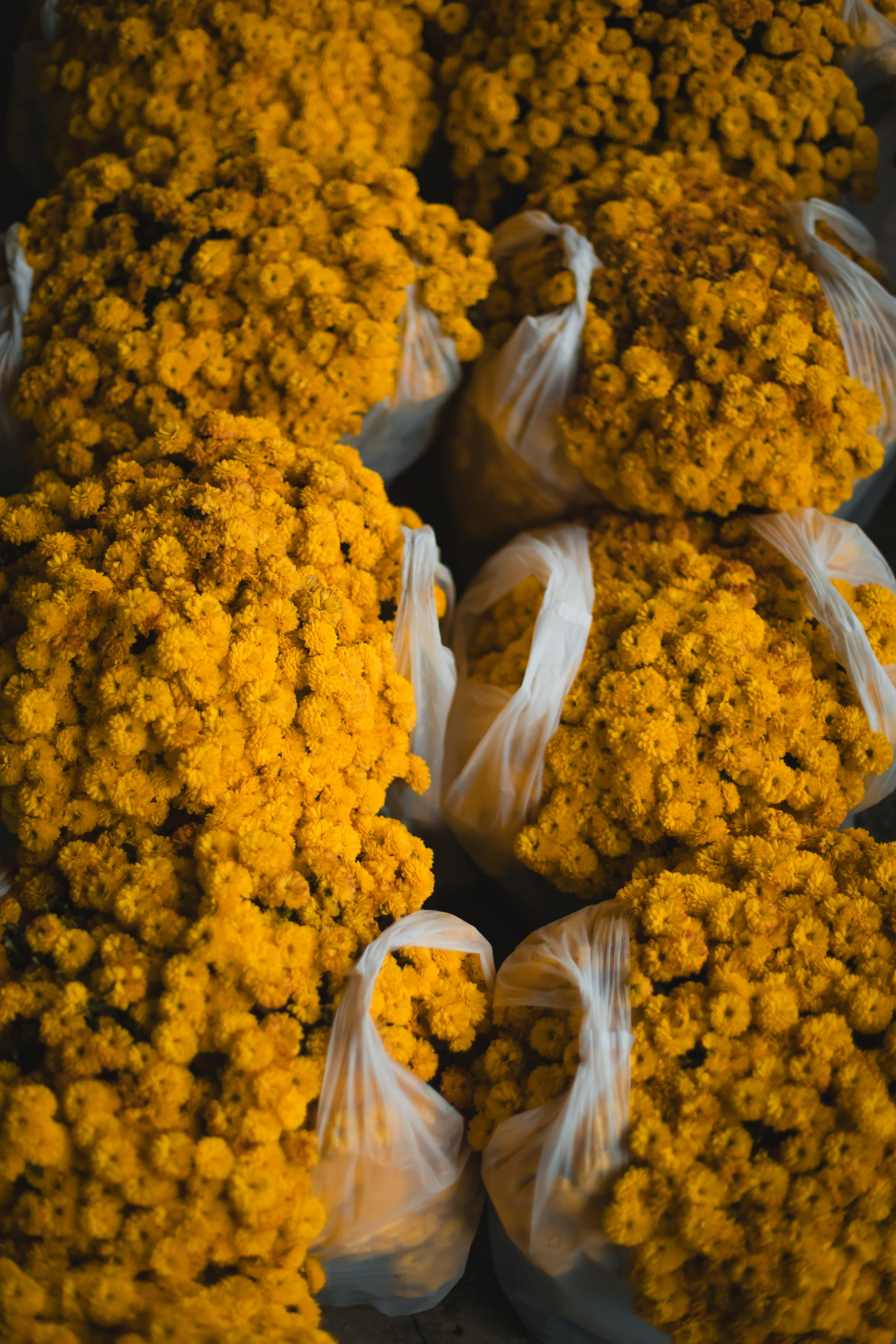 Uzbekistan, Samarkand. Репортажный фотограф Андрей Герасимов