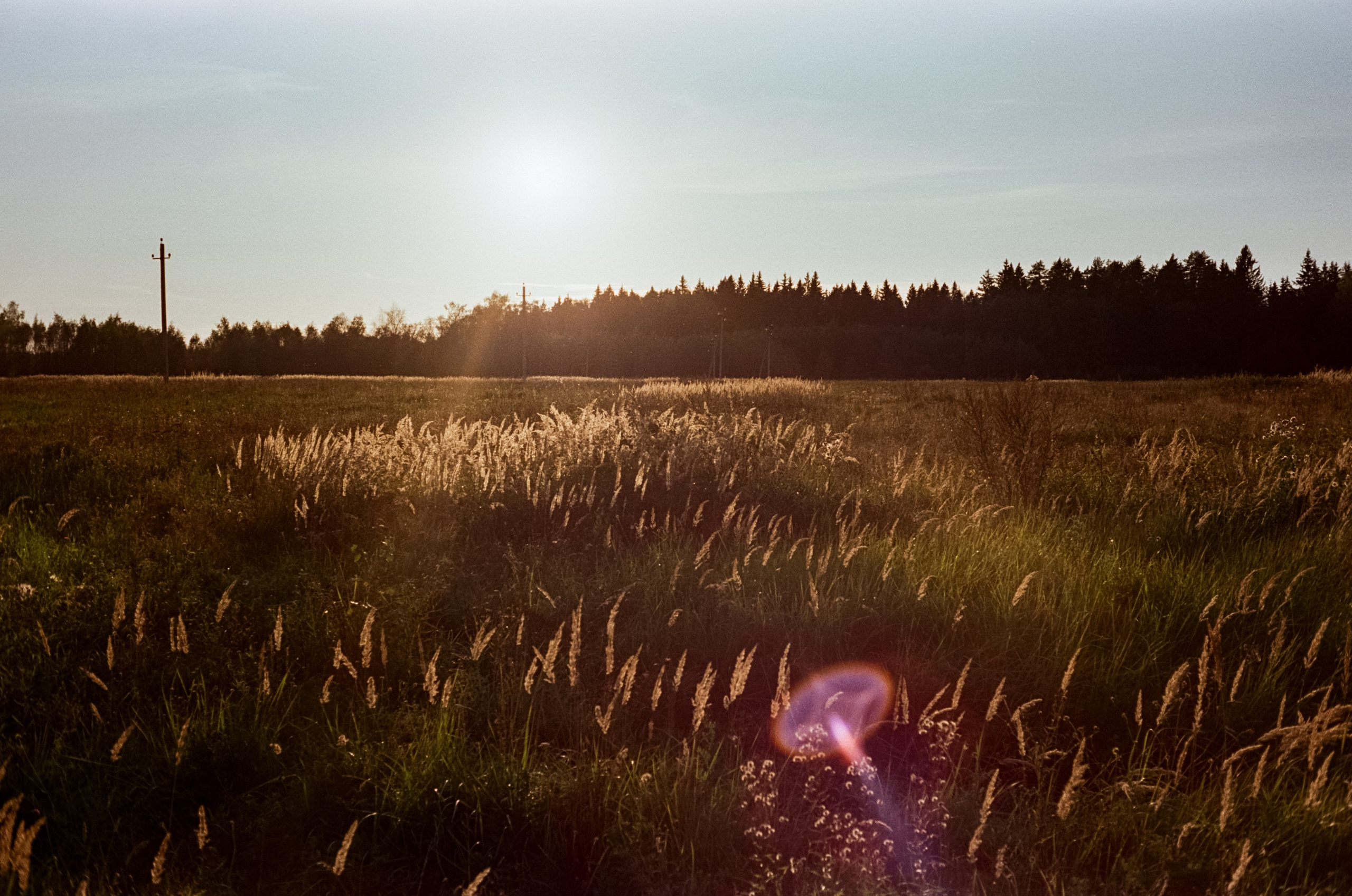 Minolta Hi-Matic 7SII примеры фотографий