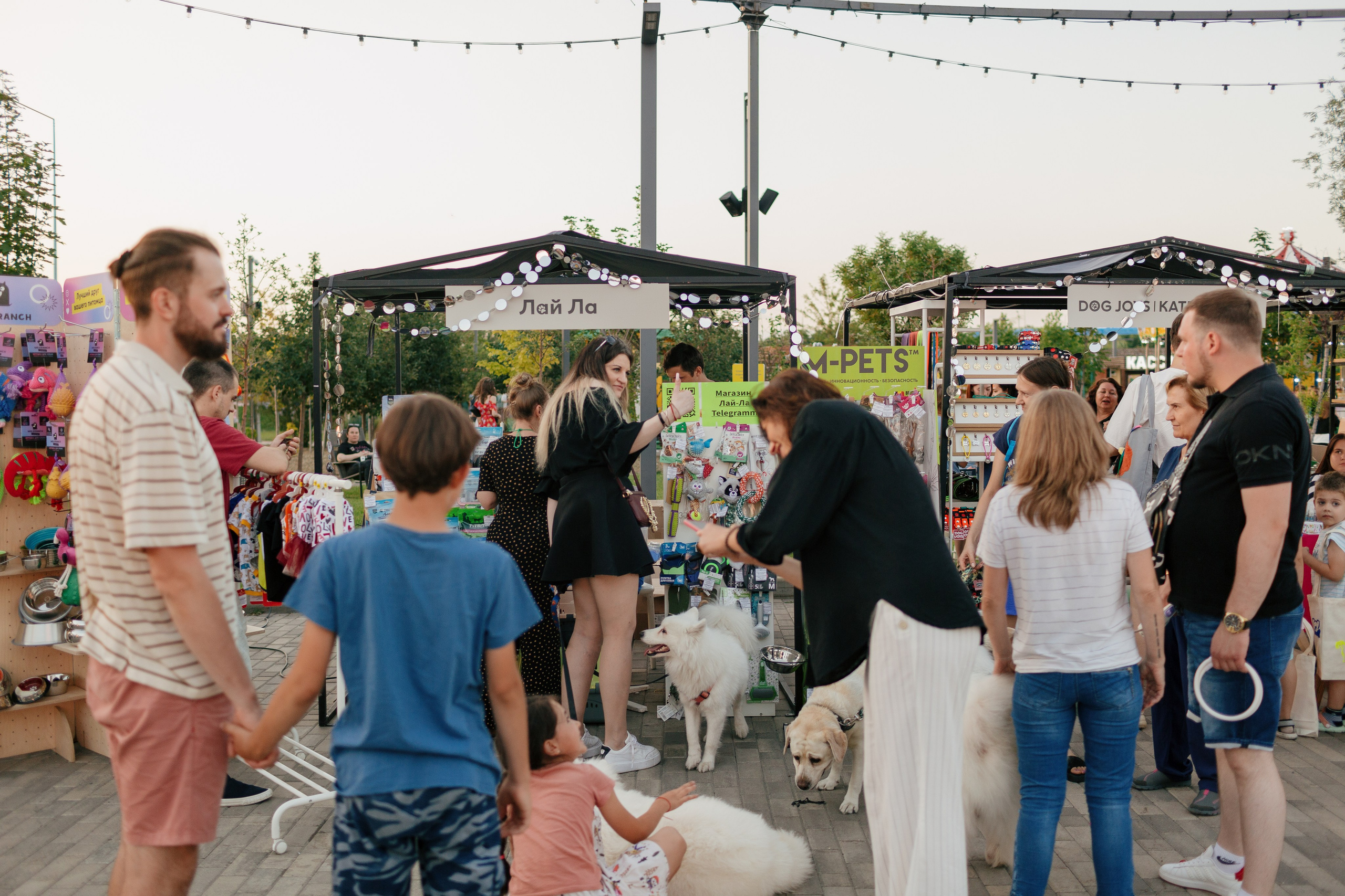 Dog Fest 2024. Главная