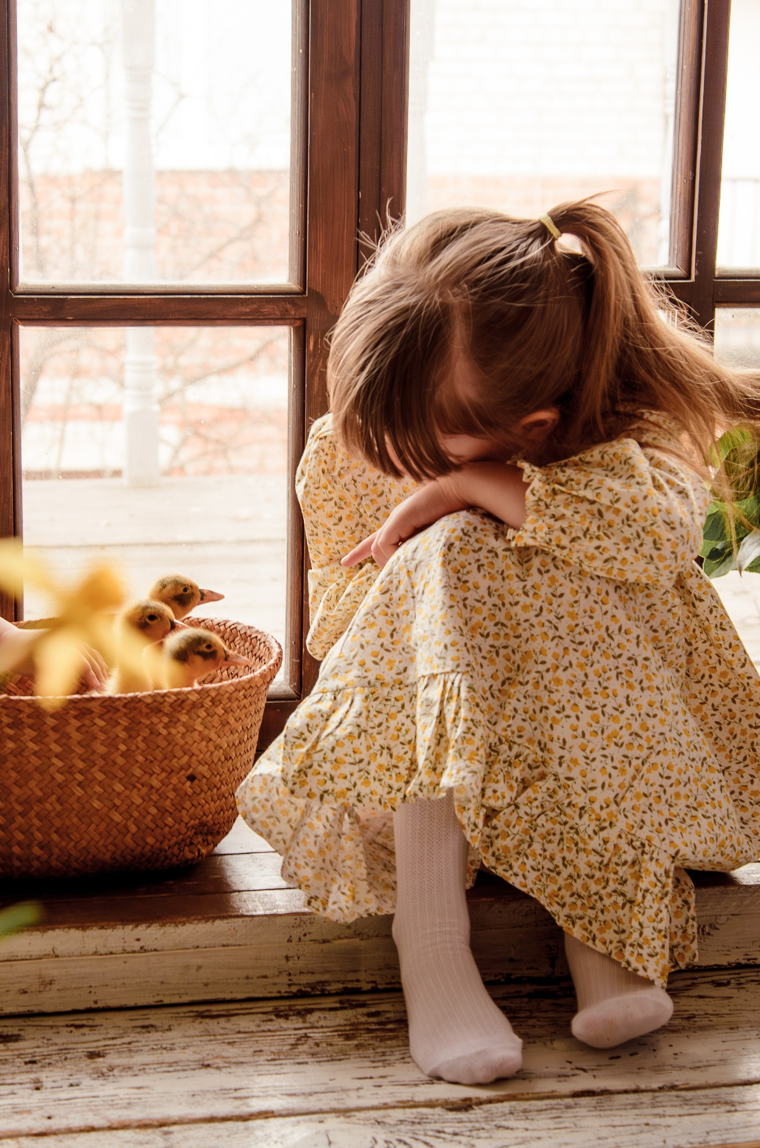 Маленькие кря-кря. Фотографы в Тюмени Андрей и Лидия Войвод