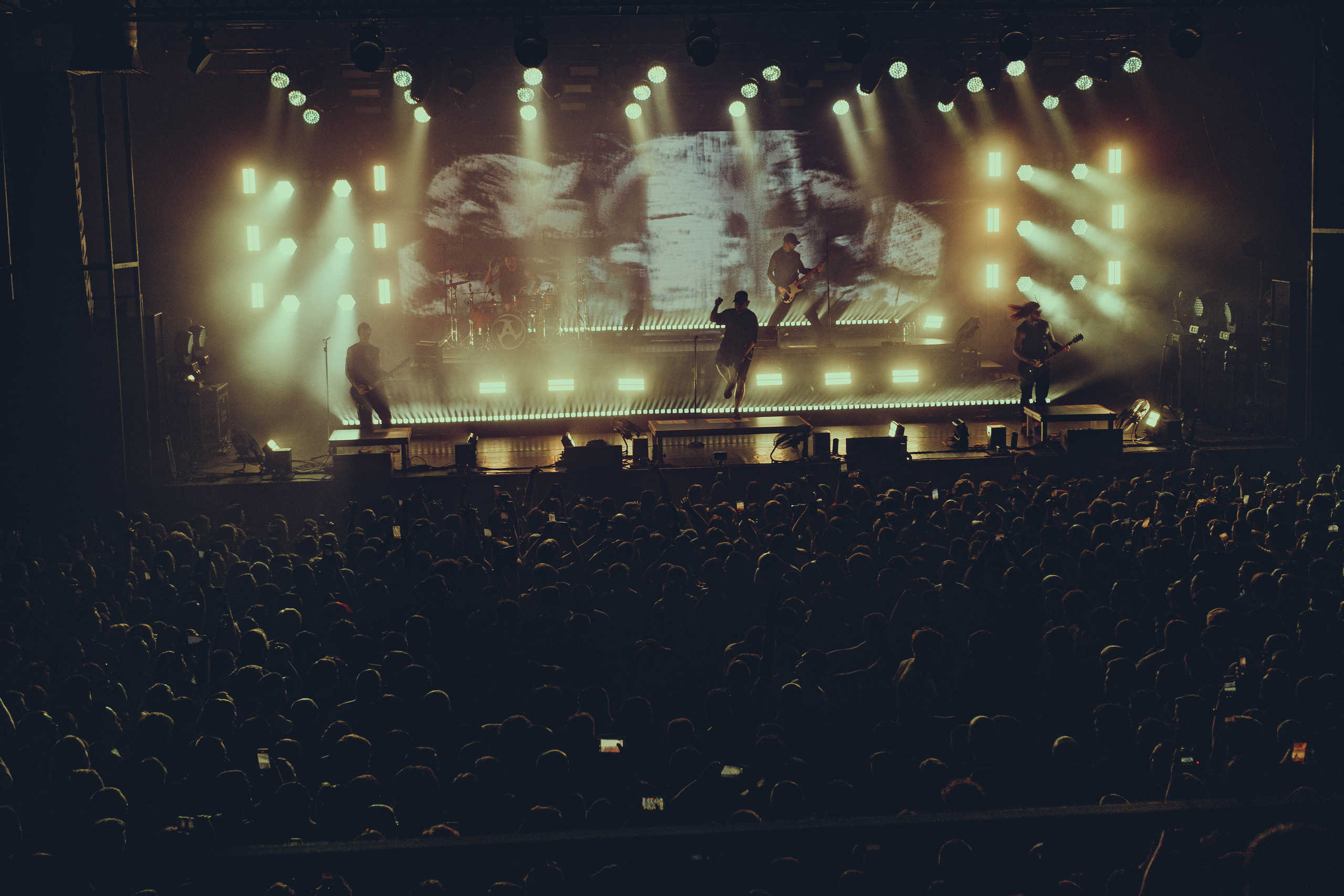 Amatory 22.11.2025. Фотограф Дядя Сник