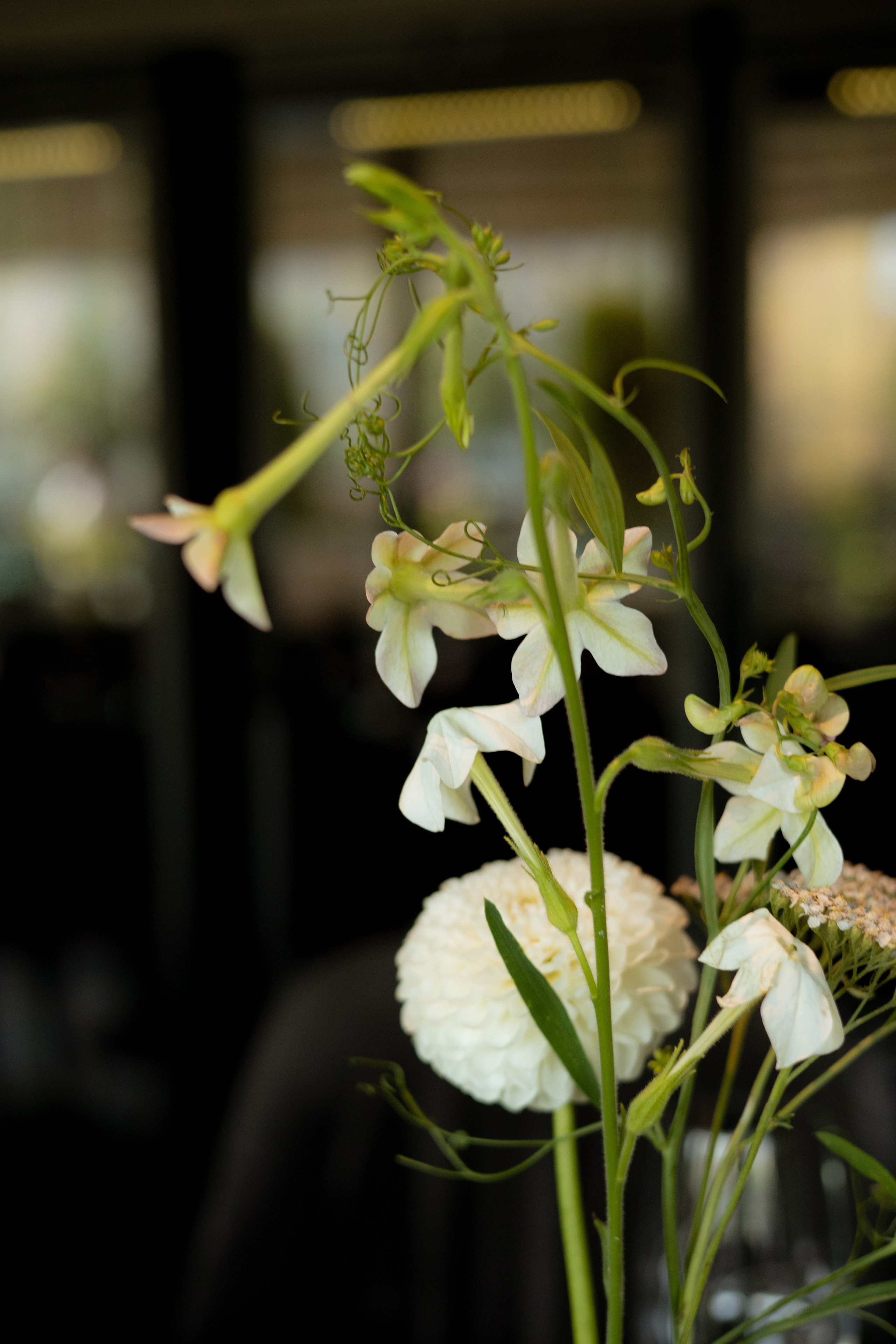 Алина & Николай. Оформление свадеб, декор свадеб Вера Маркова, Москва