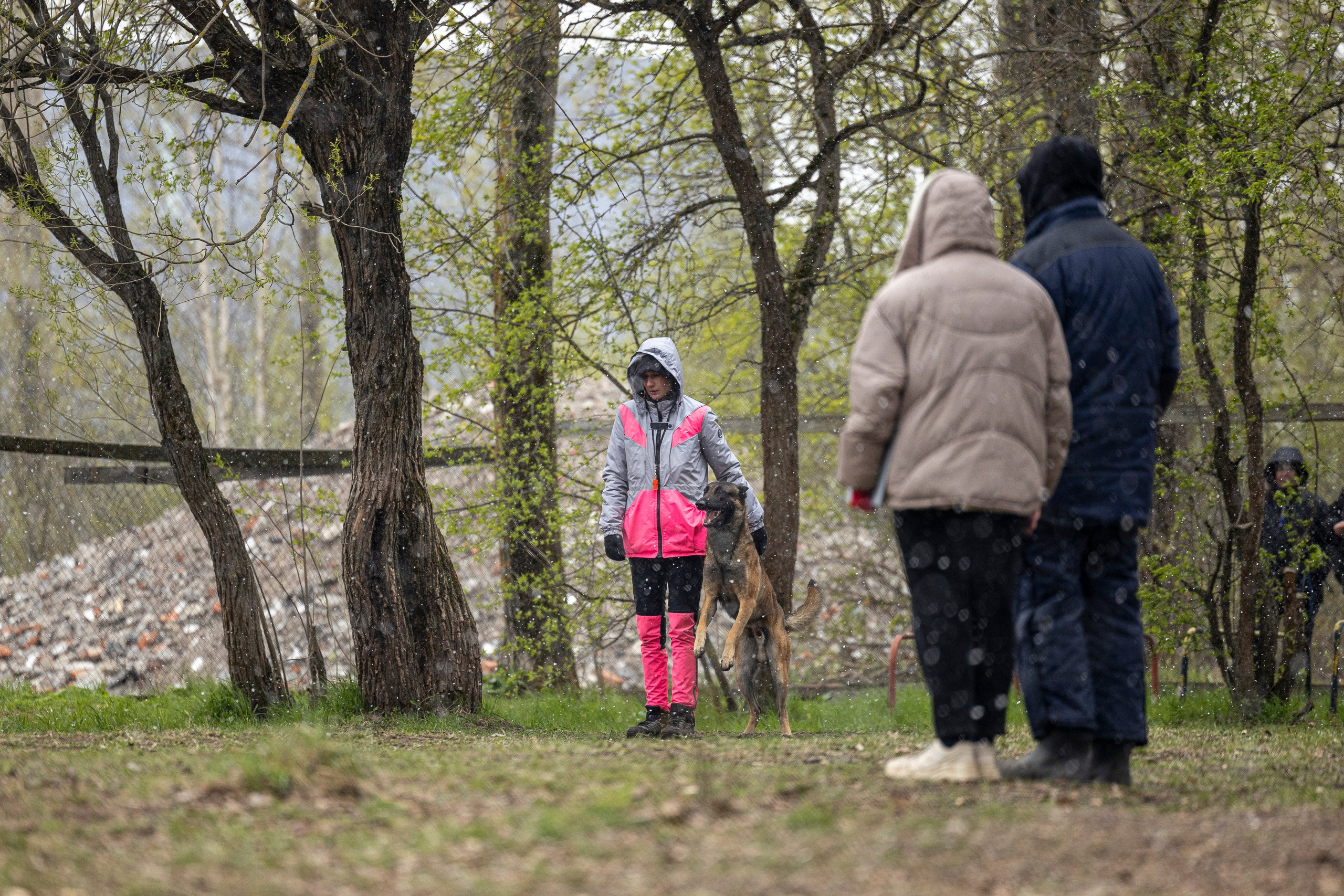 Квалификационные состязания по мондьорингу г. Вологда 11.05.24. Фотограф-анималист Анна Маринич