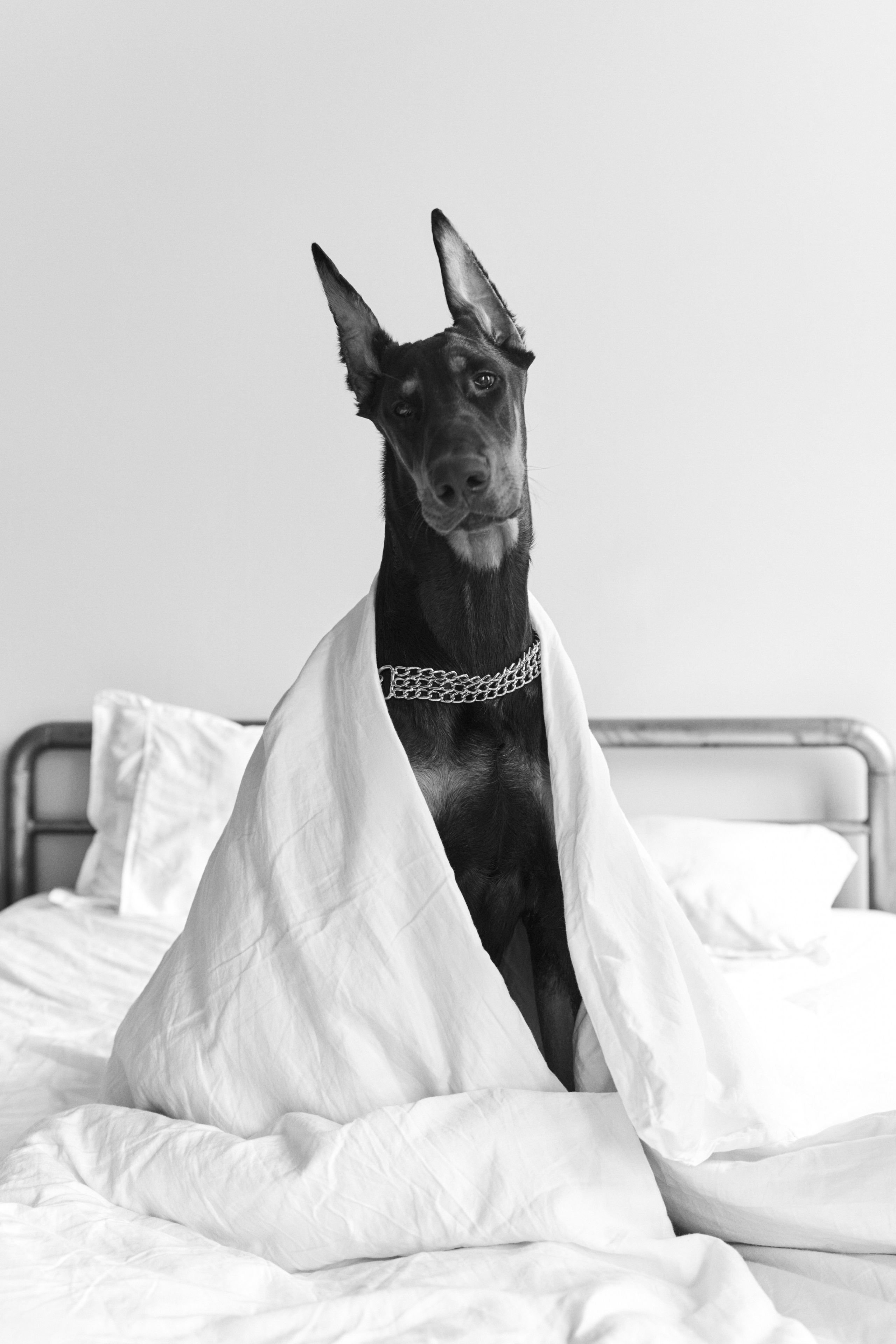 Индивидуальная. Семейный фотограф в Санкт-Петербурге Мария Соколова