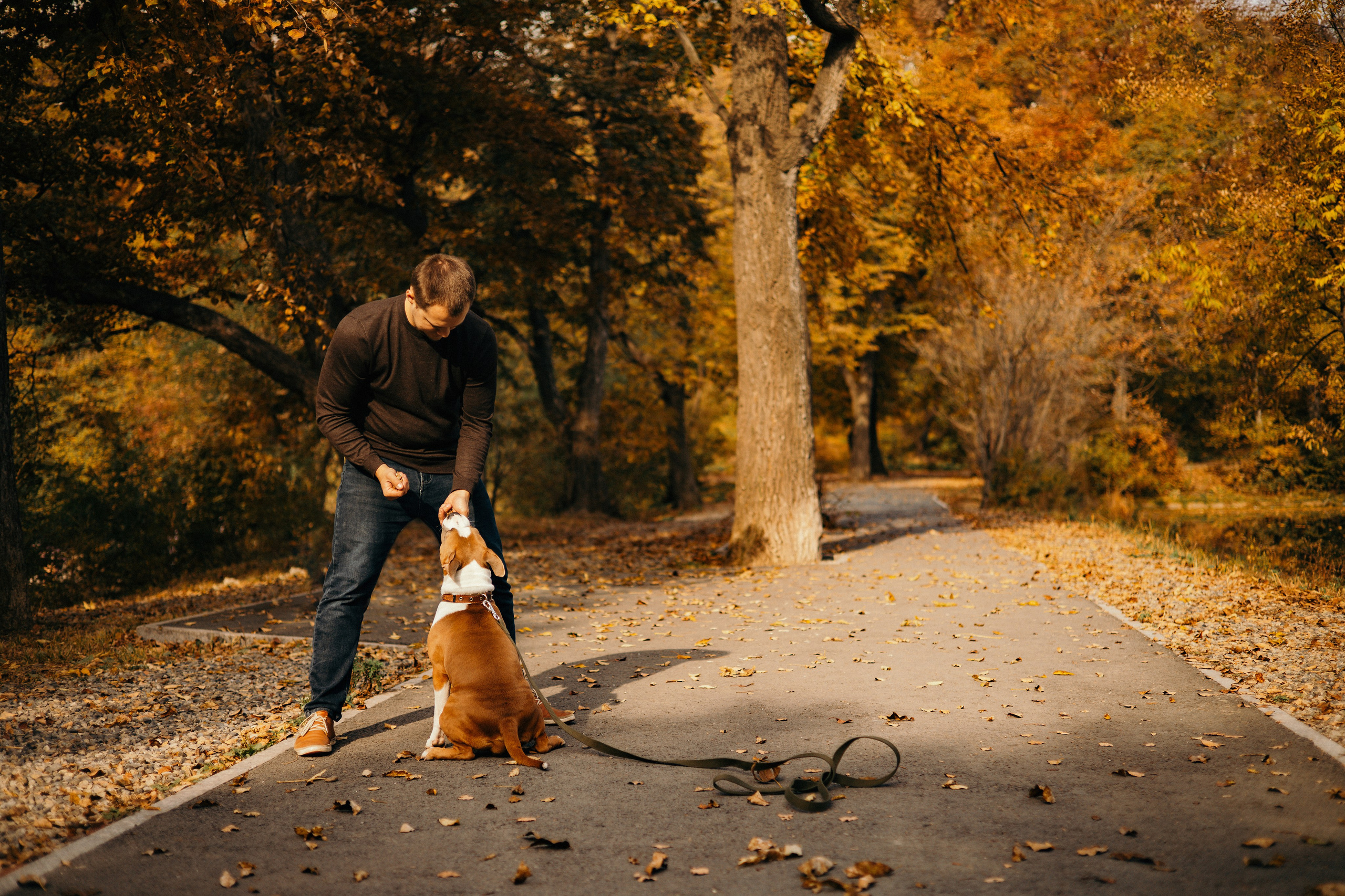 Лаффи и ее семья. Фотограф — анималист Владивосток, Алина
