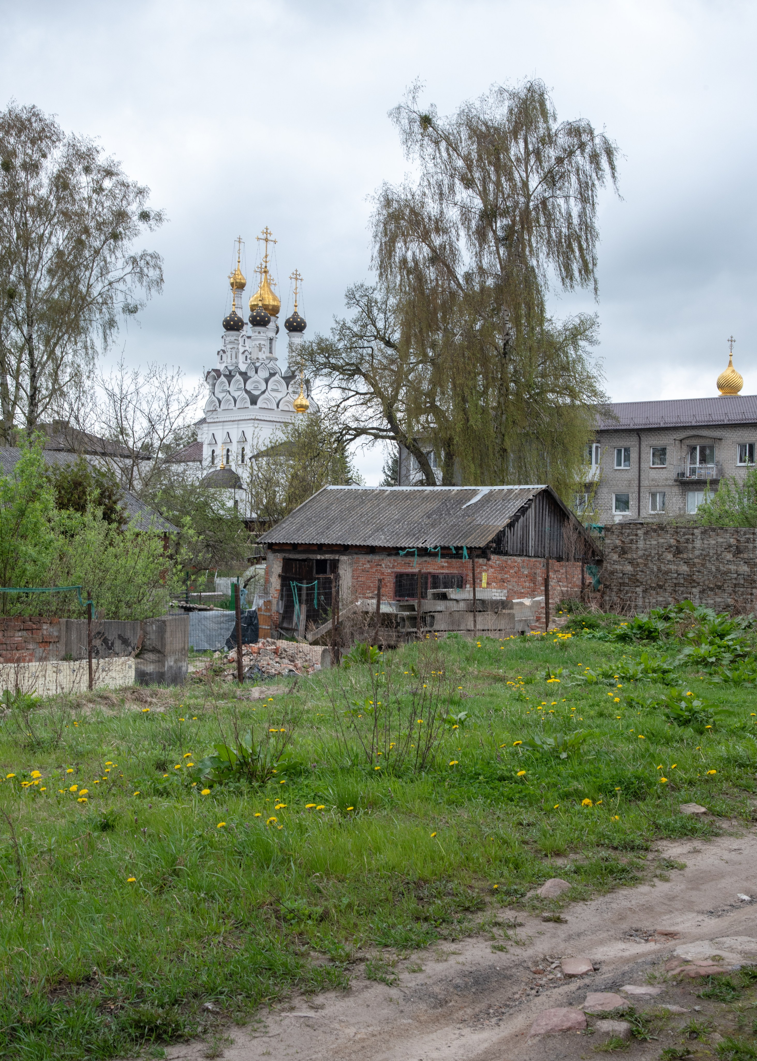Калининград, Светлогорск. Фотограф Юлия Зимина