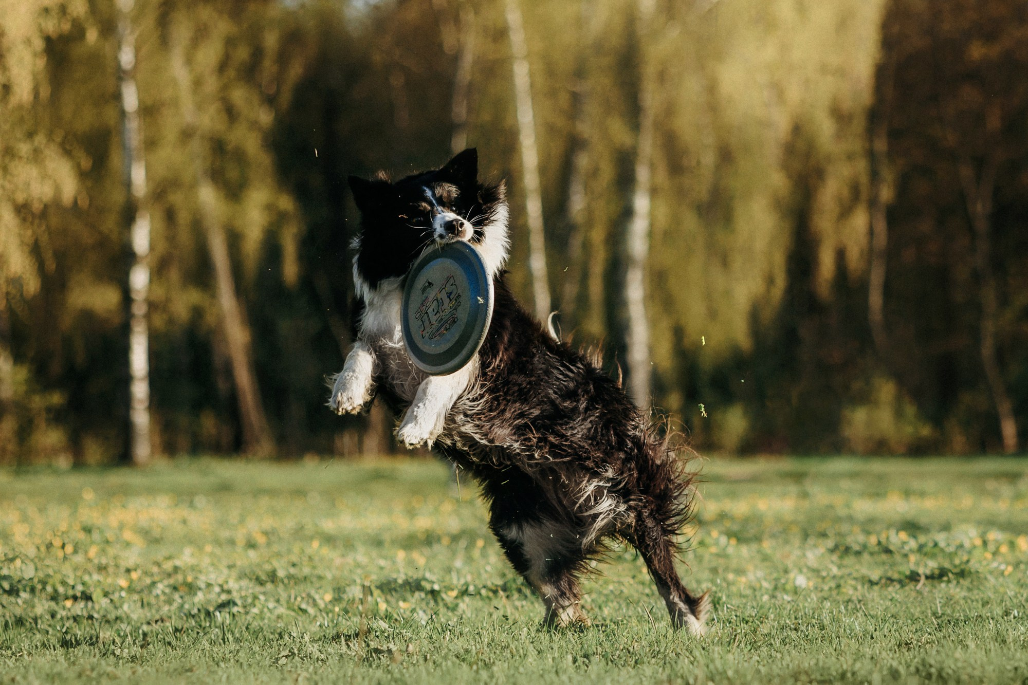 Аня и Иден. Фотограф-анималист Елена Радченко, Москва