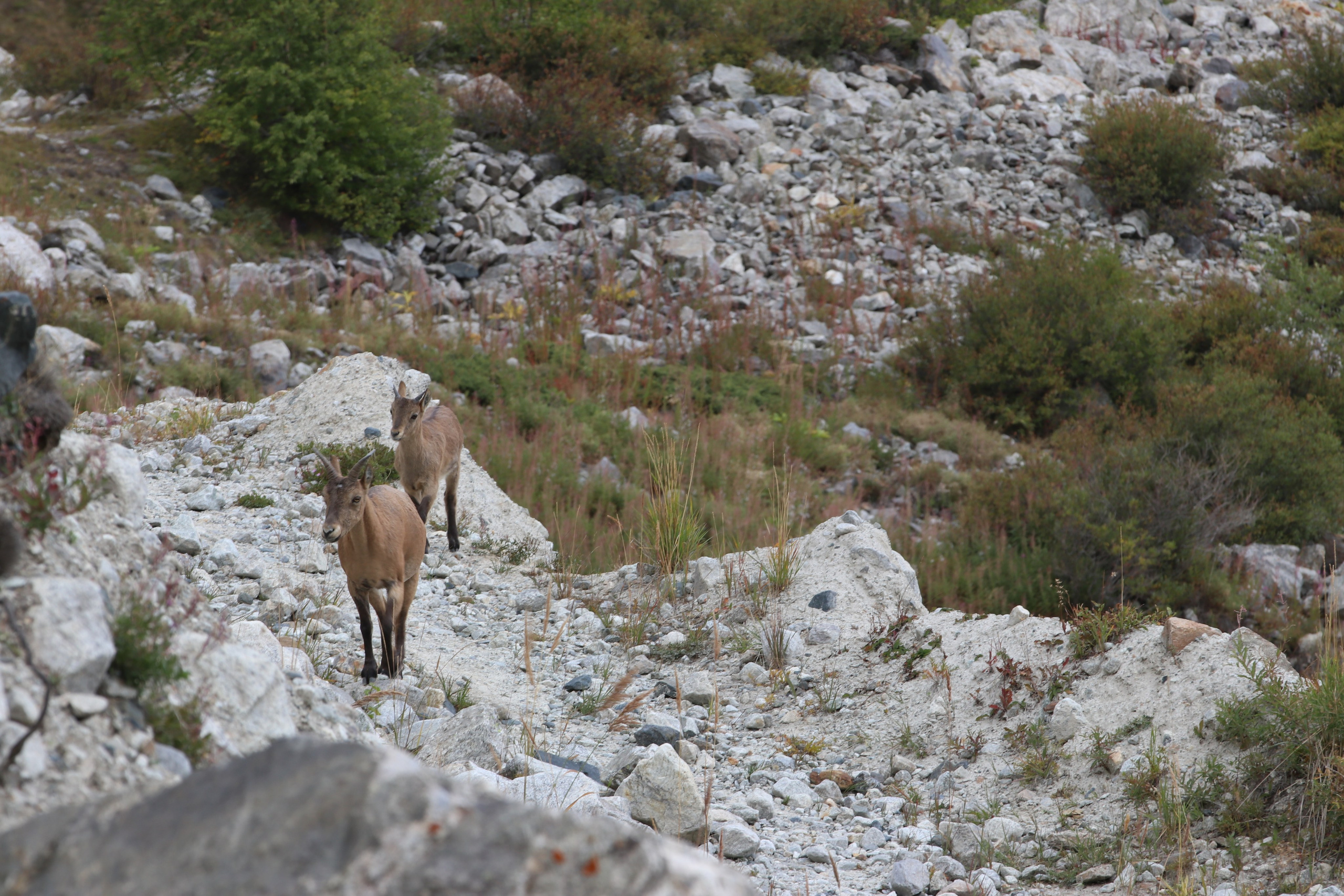 Приэльбрусье. Сентябрь 2023. Путешественник-фотограф из Санкт-Петербурга Татьяна Свистулина