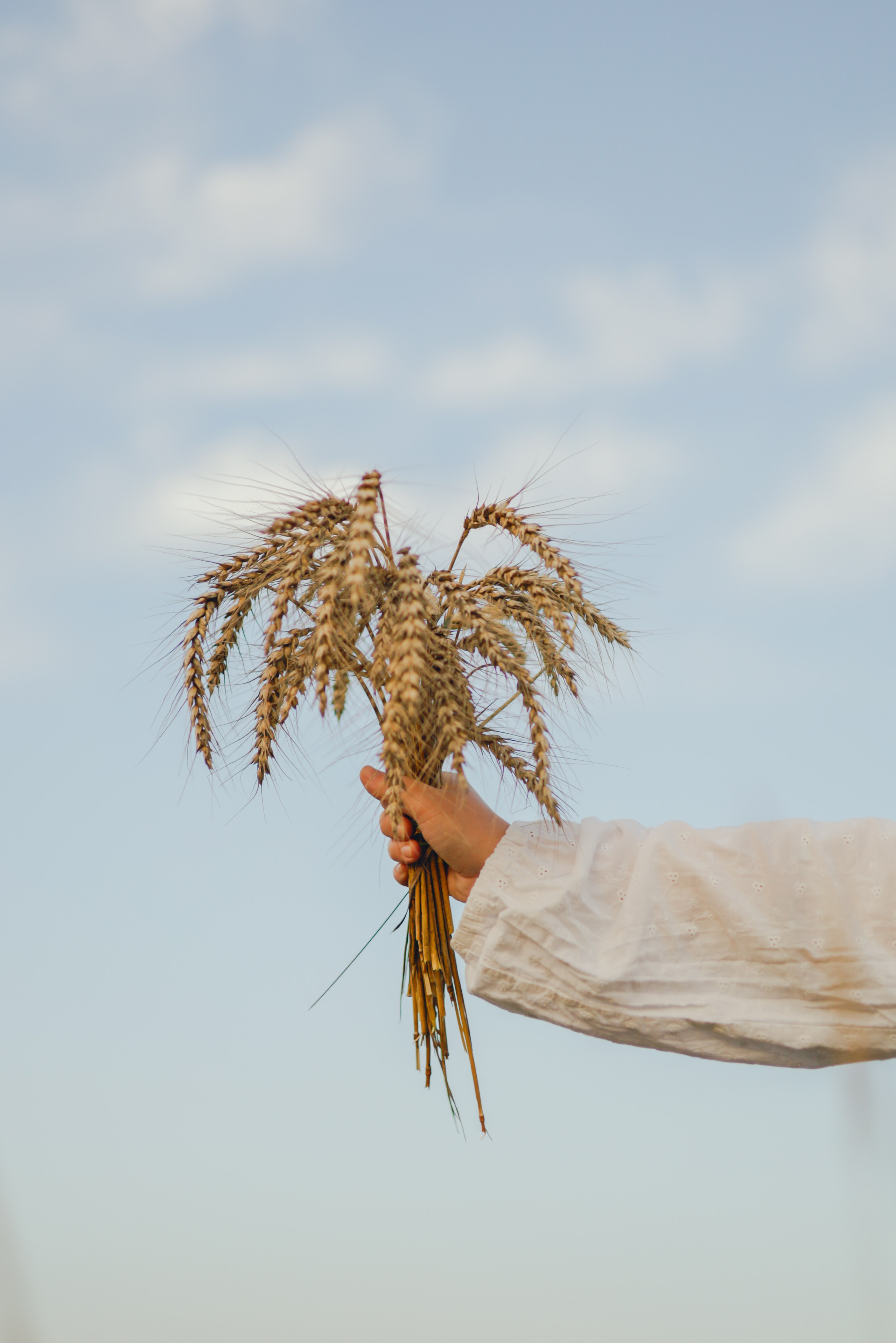 Лиза — хлебомама. Фотограф в Москве и области Титова Наталья